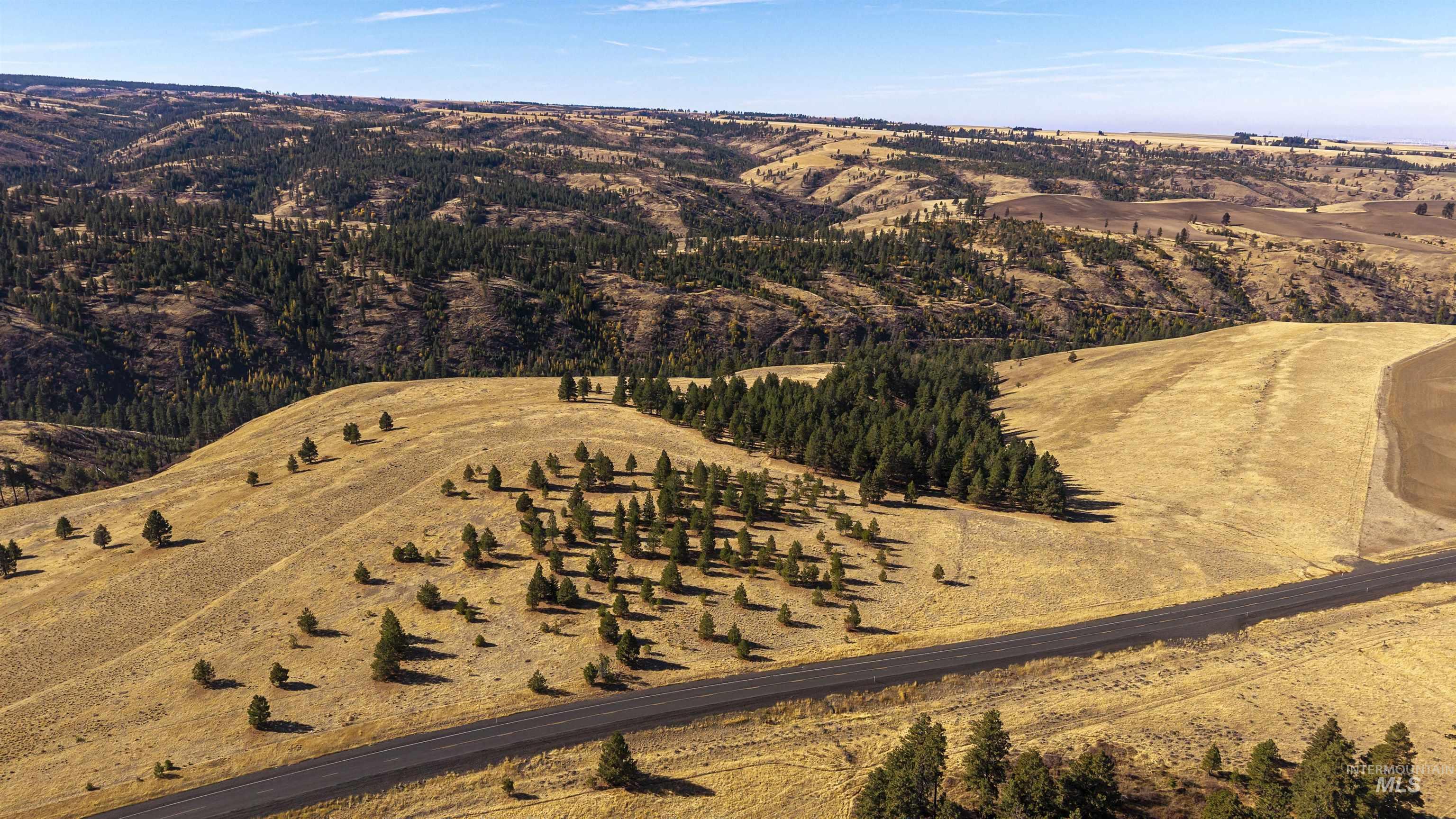 NKA Peola Road, Pomeroy, Washington 99347, Land For Sale, Price $475,000, 99004443