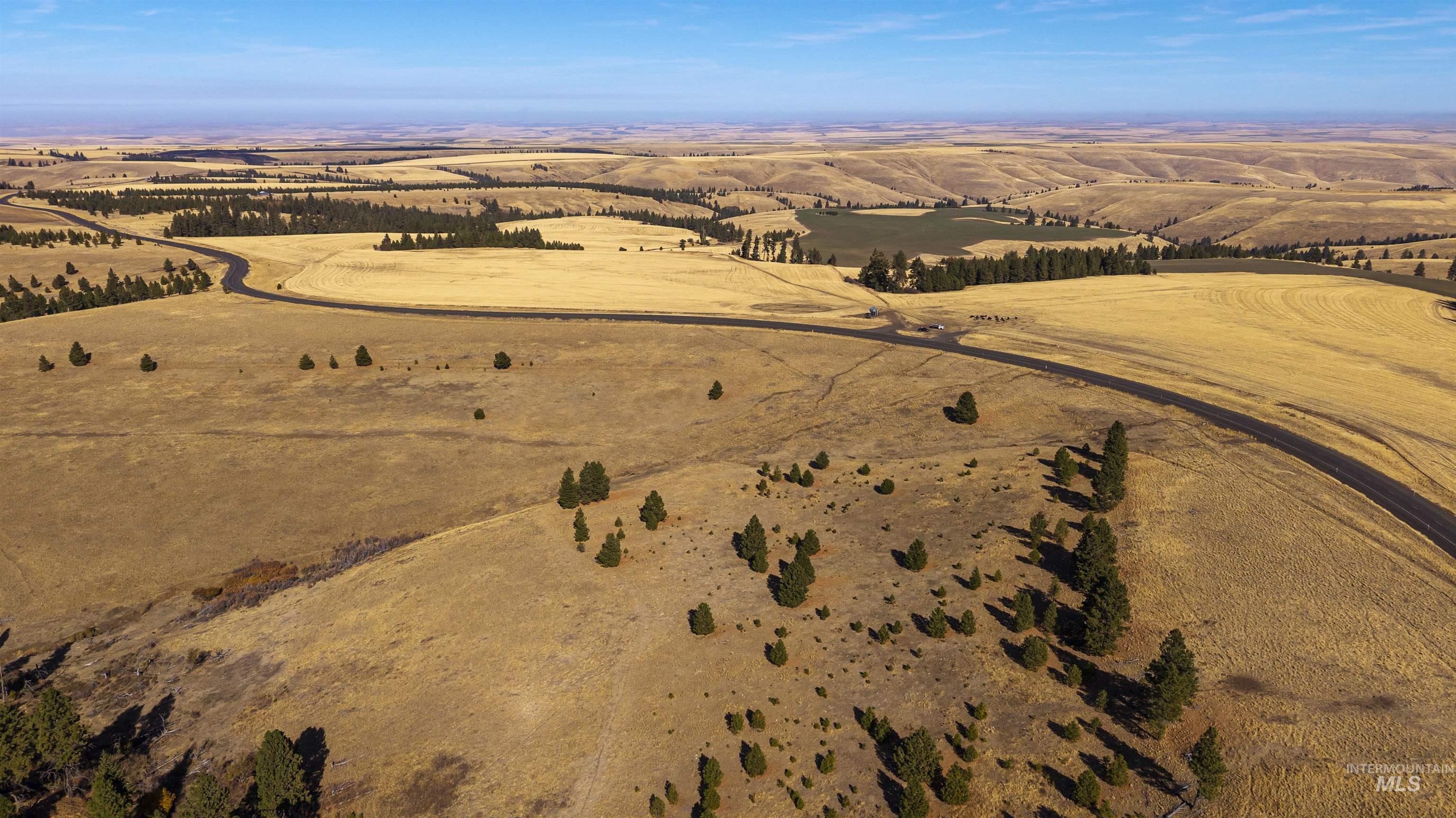 NKA Peola Road, Pomeroy, Washington 99347, Land For Sale, Price $475,000, 99004443
