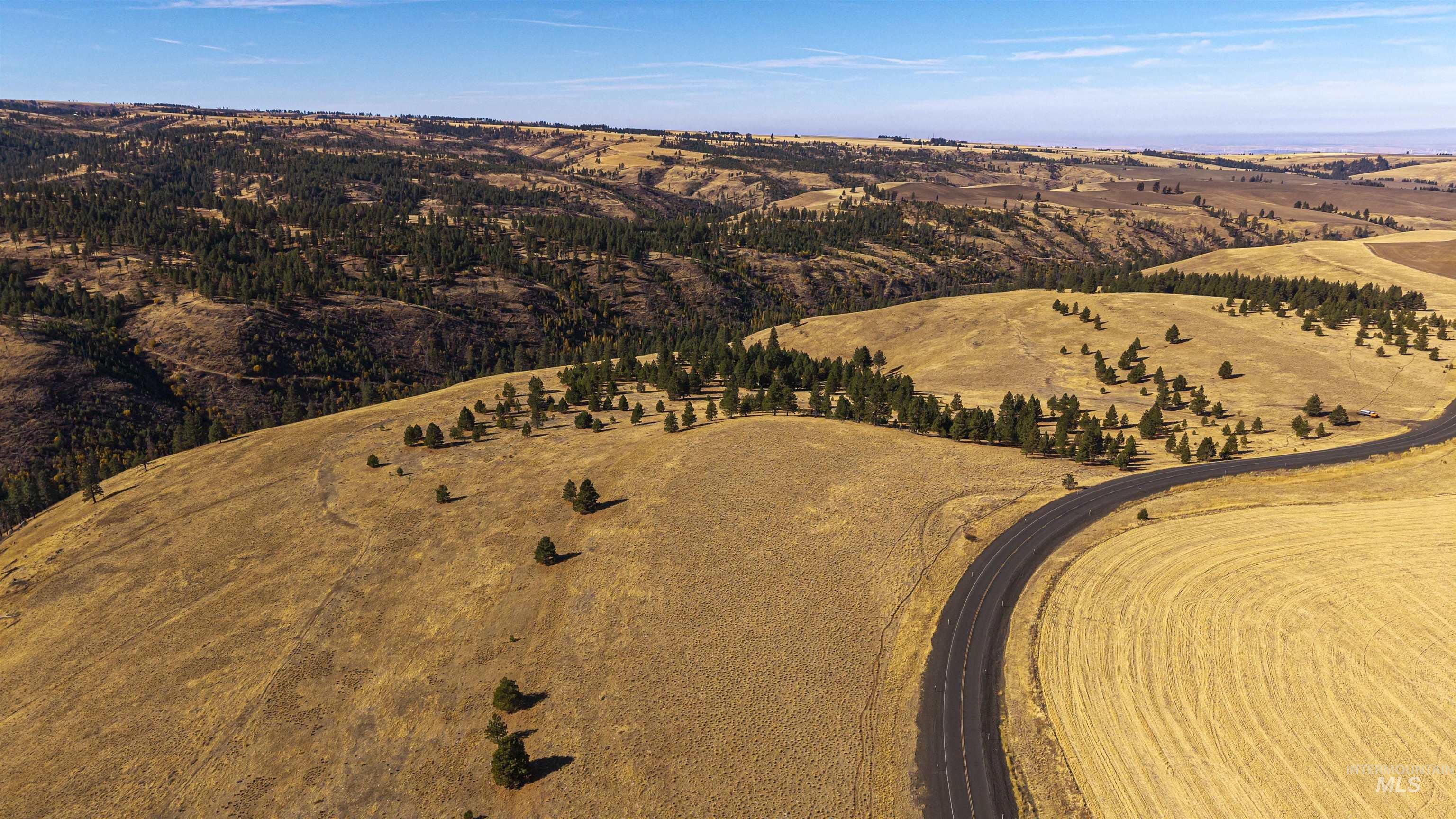 NKA Peola Road, Pomeroy, Washington 99347, Land For Sale, Price $475,000, 99004443