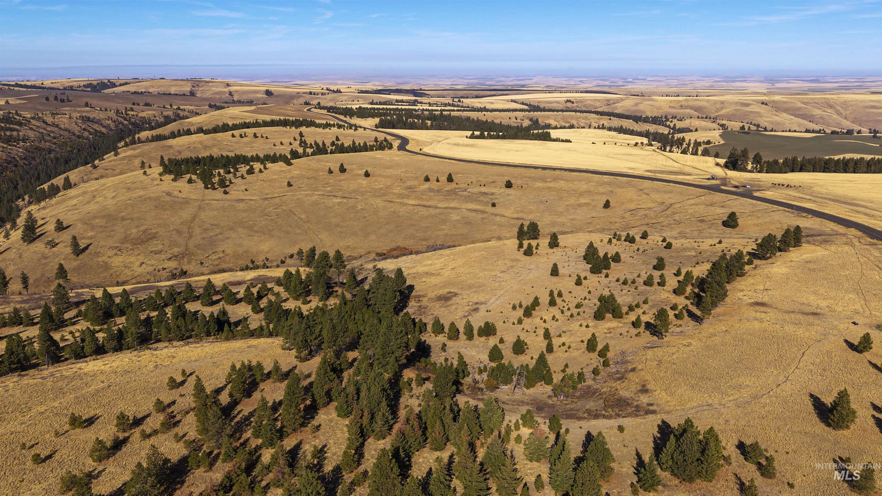 NKA Peola Road, Pomeroy, Washington 99347, Land For Sale, Price $475,000, 99004443
