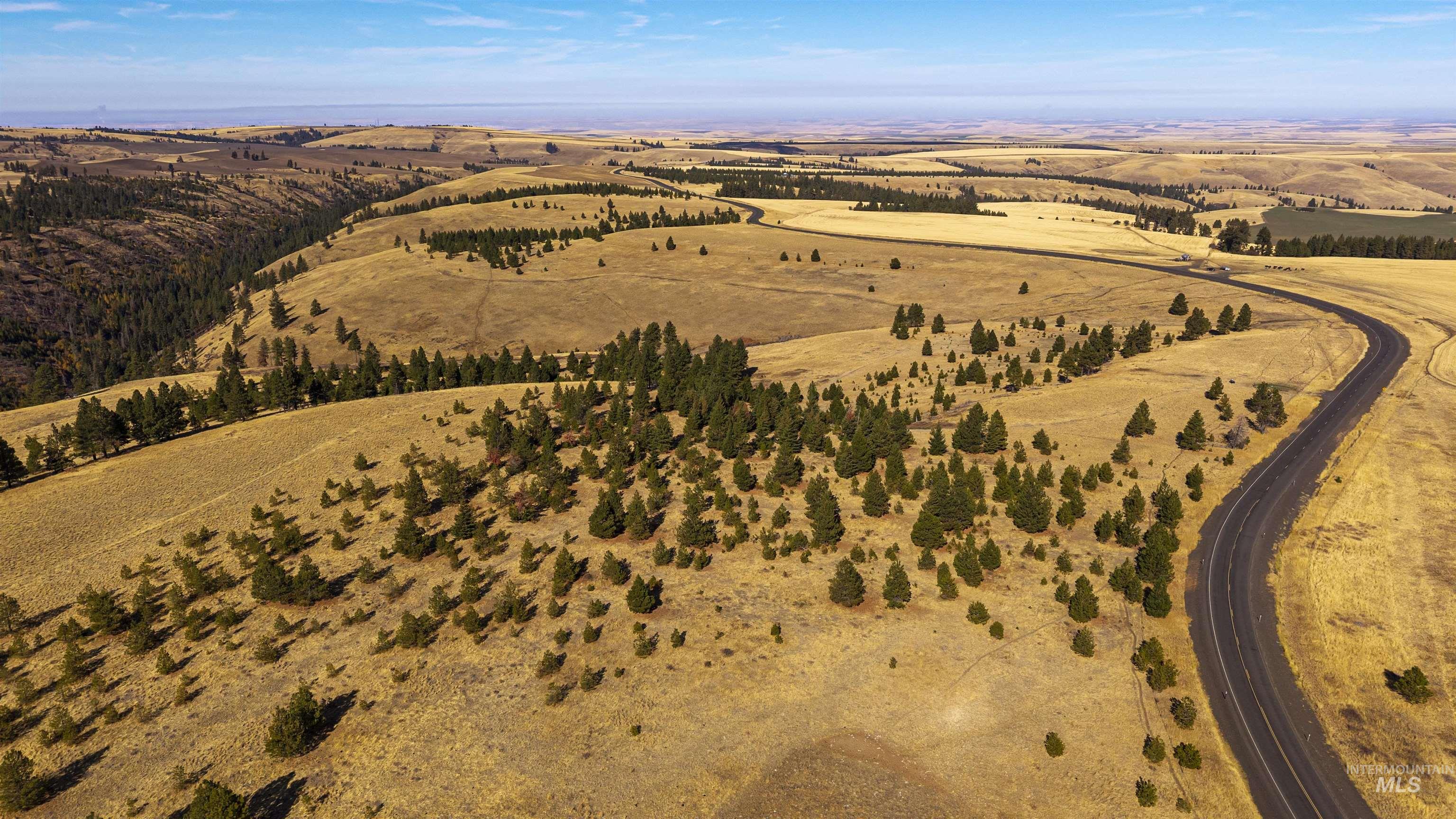 NKA Peola Road, Pomeroy, Washington 99347, Land For Sale, Price $475,000, 99004443