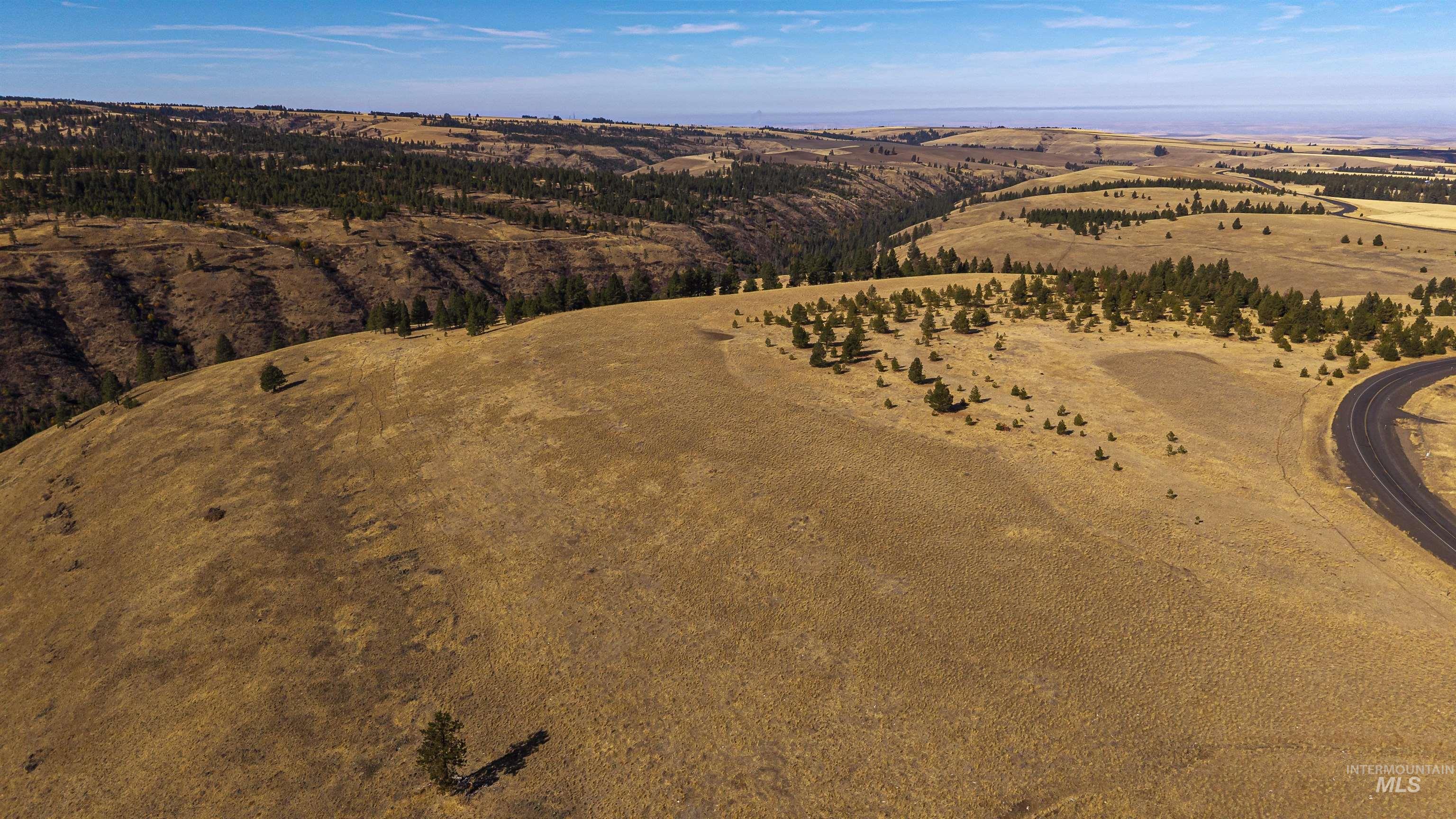 NKA Peola Road, Pomeroy, Washington 99347, Land For Sale, Price $475,000, 99004443