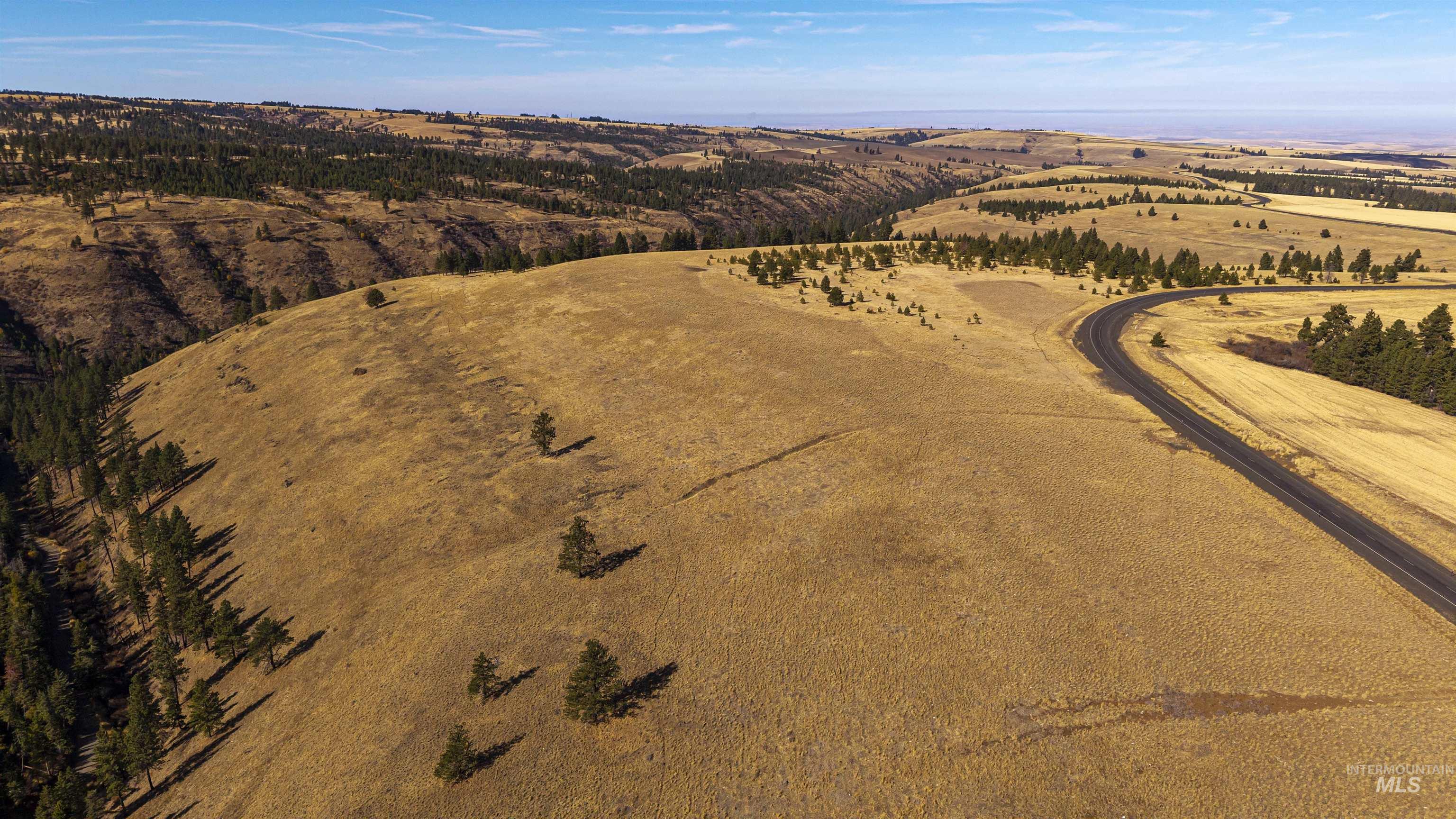 NKA Peola Road, Pomeroy, Washington 99347, Land For Sale, Price $475,000, 99004443