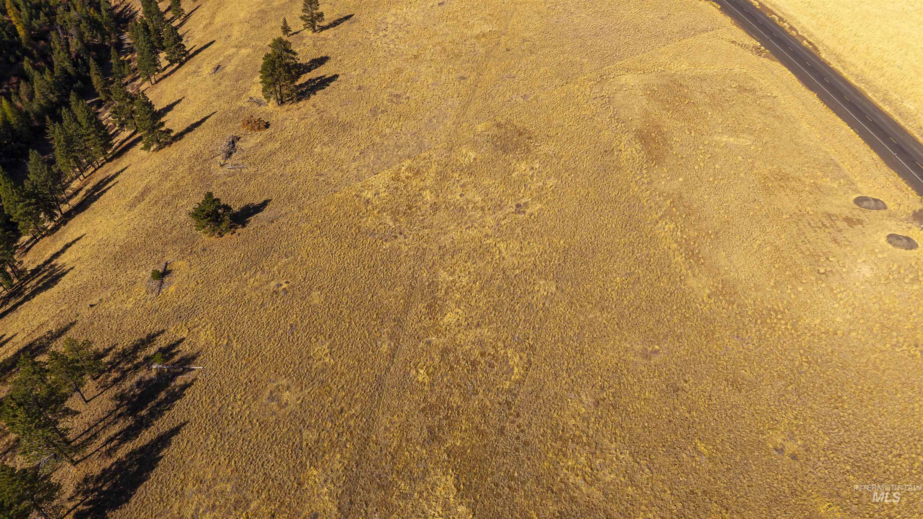 NKA Peola Road, Pomeroy, Washington 99347, Land For Sale, Price $475,000, 99004443