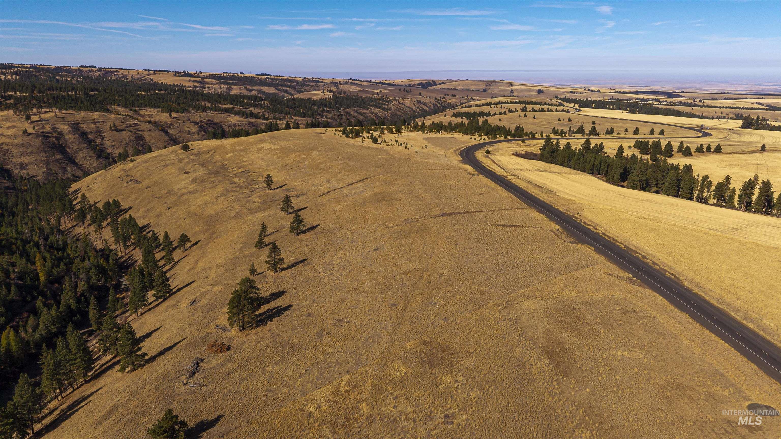 NKA Peola Road, Pomeroy, Washington 99347, Land For Sale, Price $475,000, 99004443