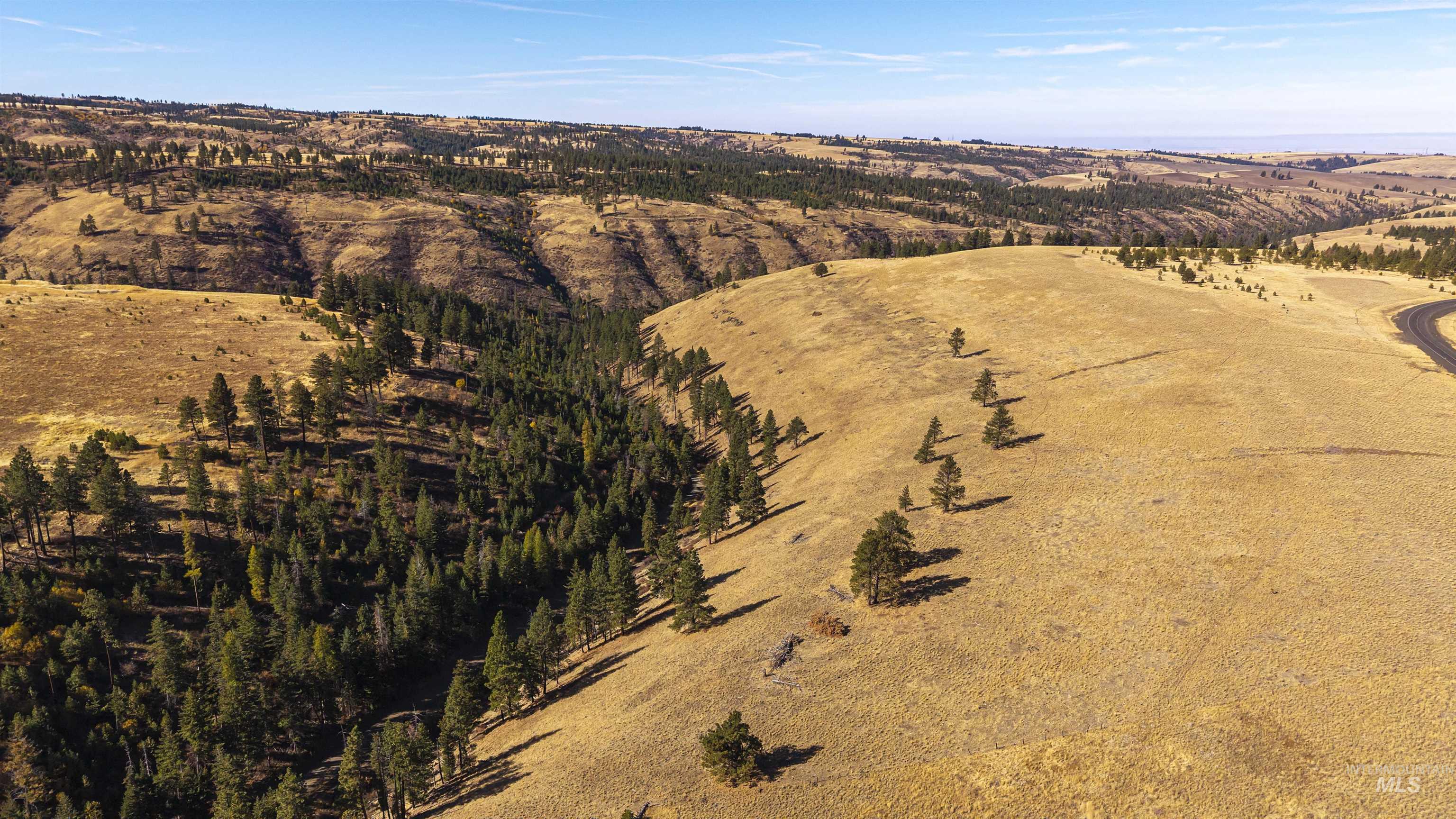NKA Peola Road, Pomeroy, Washington 99347, Land For Sale, Price $475,000, 99004443