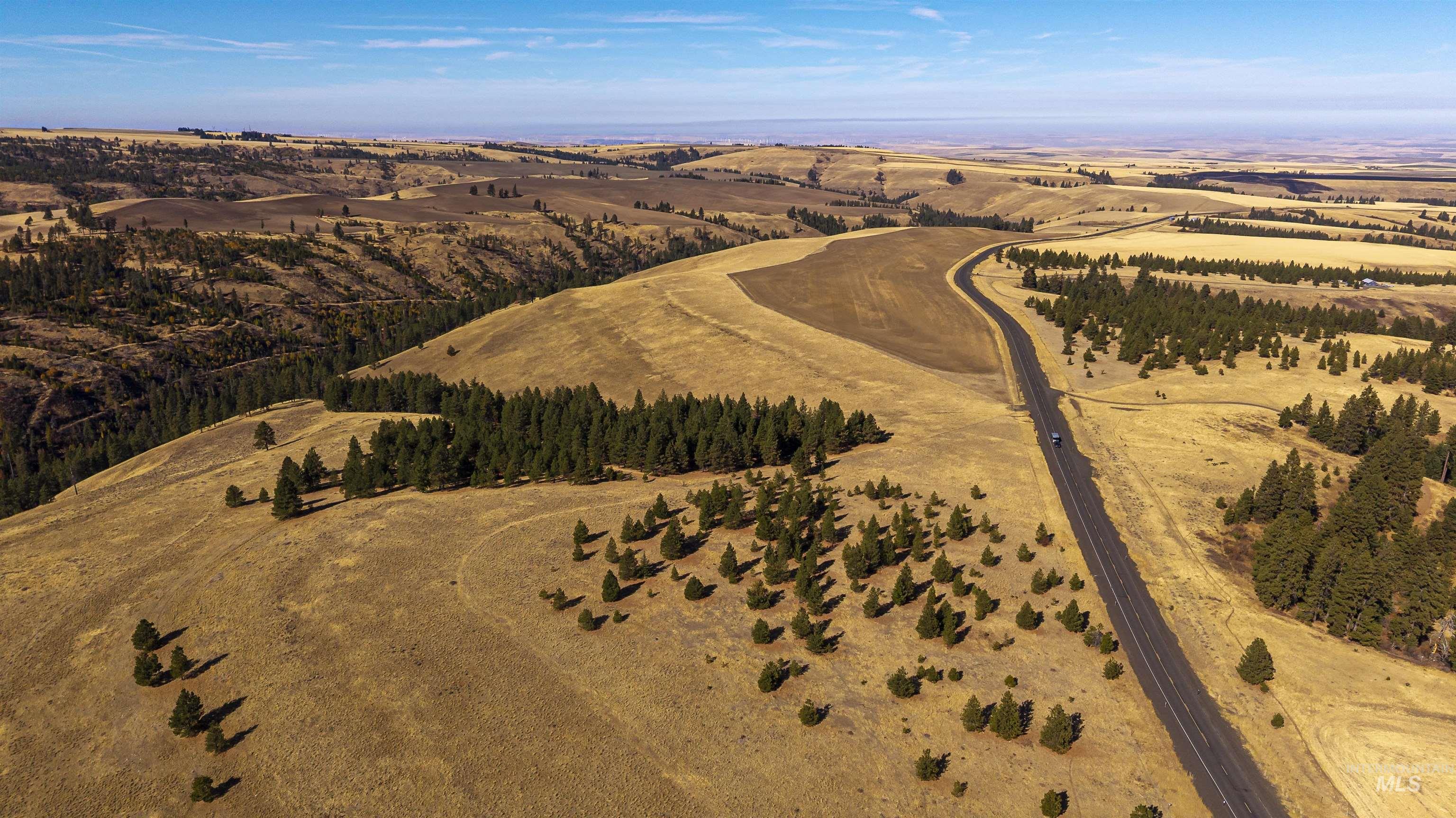 NKA Peola Road, Pomeroy, Washington 99347, Land For Sale, Price $475,000, 99004443