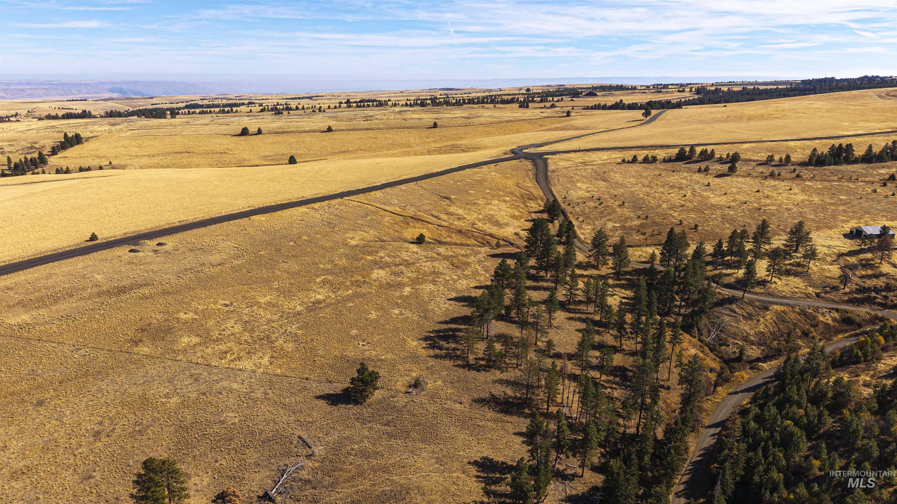 NKA Peola Road, Pomeroy, Washington 99347, Land For Sale, Price $475,000, 99004443