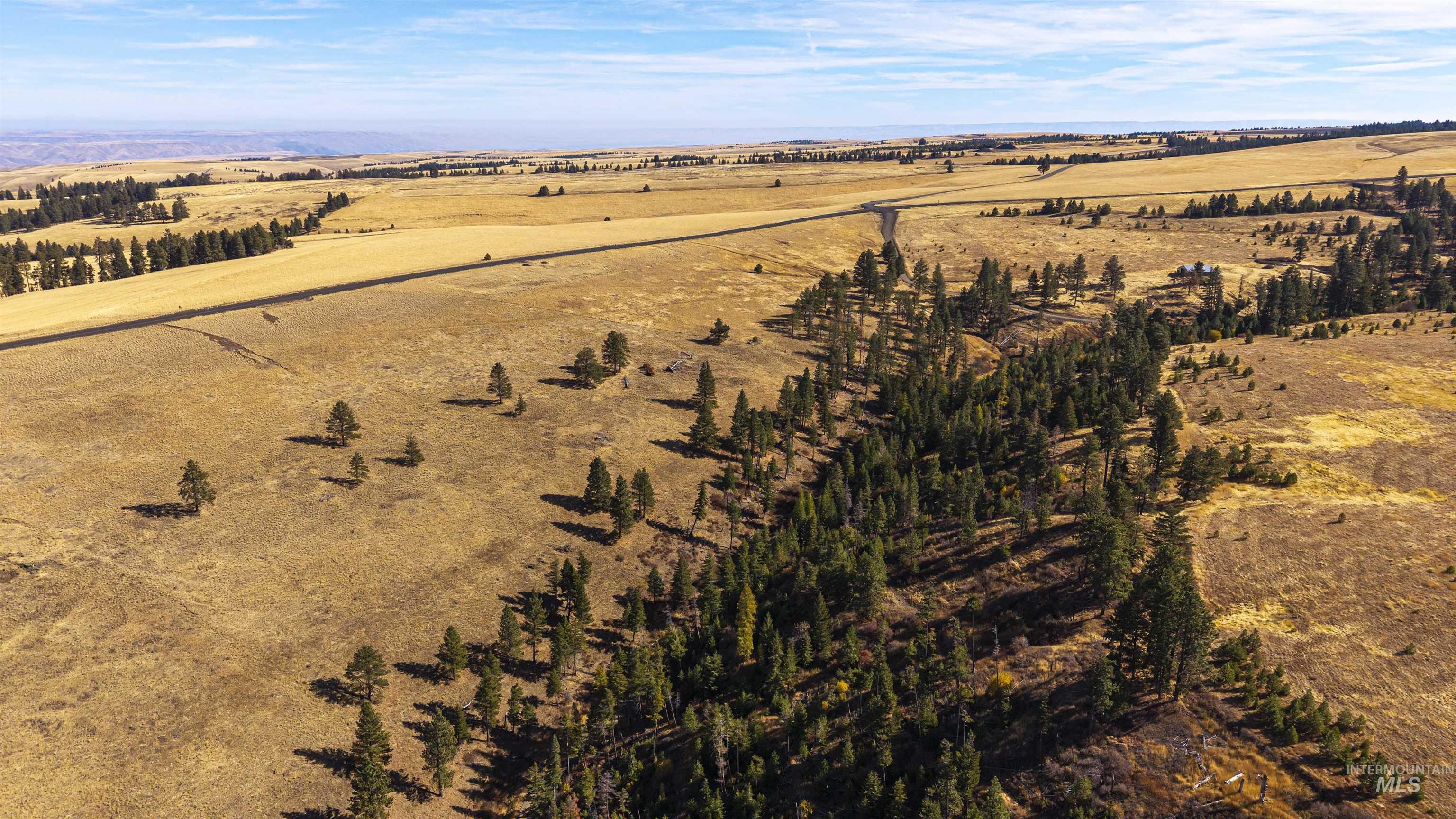 NKA Peola Road, Pomeroy, Washington 99347, Land For Sale, Price $475,000, 99004443