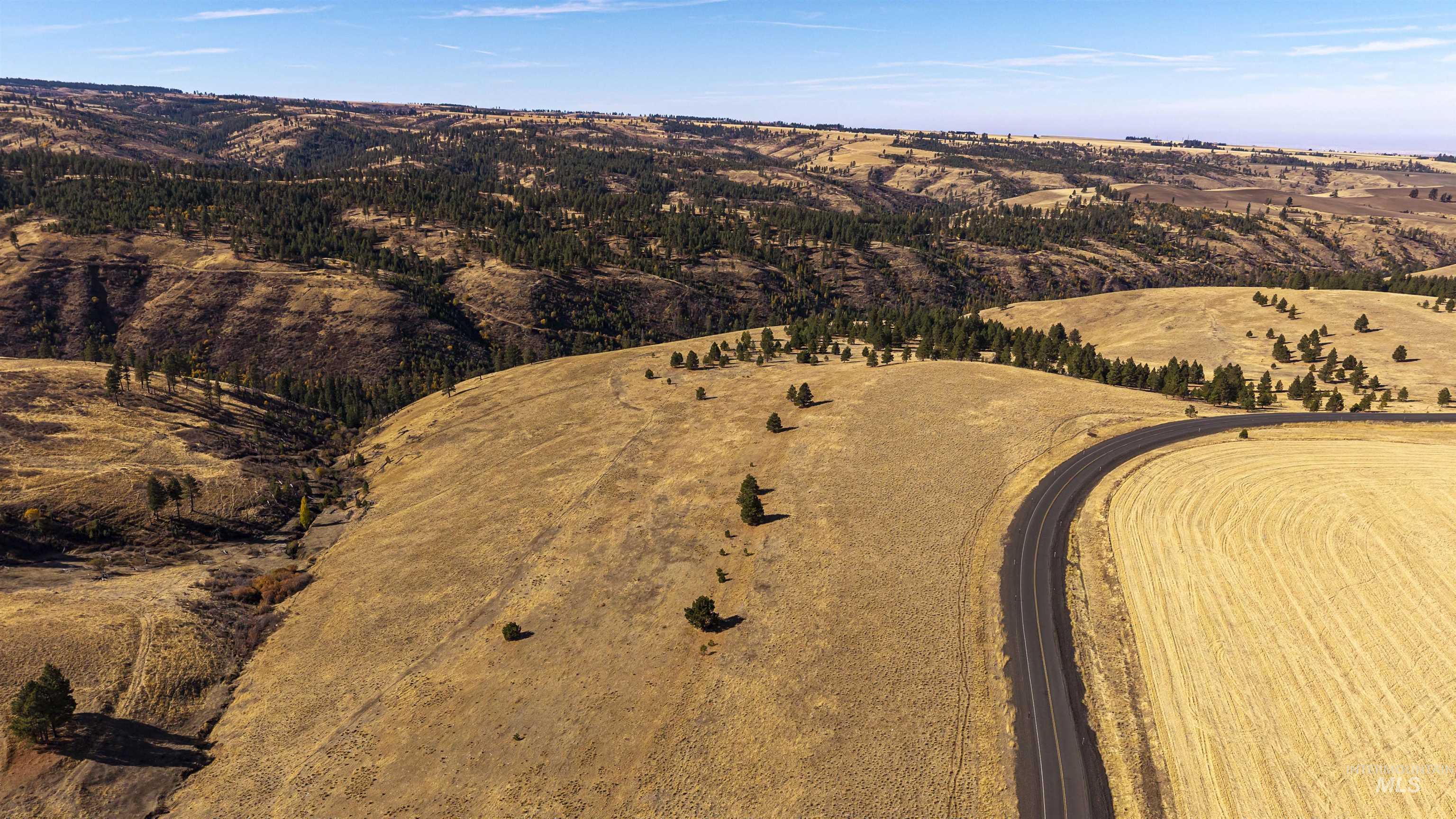 NKA Peola Road, Pomeroy, Washington 99347, Land For Sale, Price $475,000, 99004443
