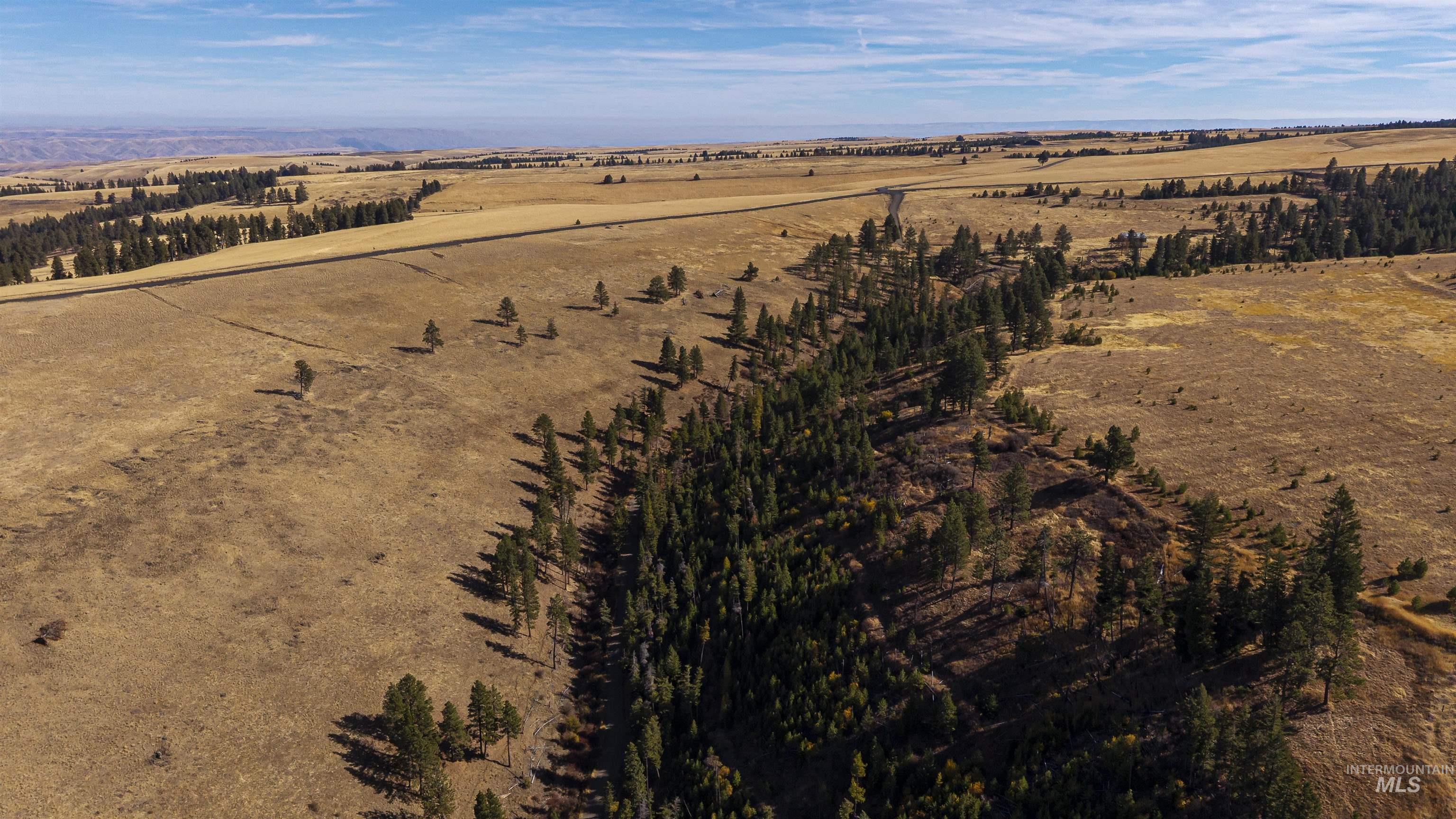 NKA Peola Road, Pomeroy, Washington 99347, Land For Sale, Price $475,000, 99004443