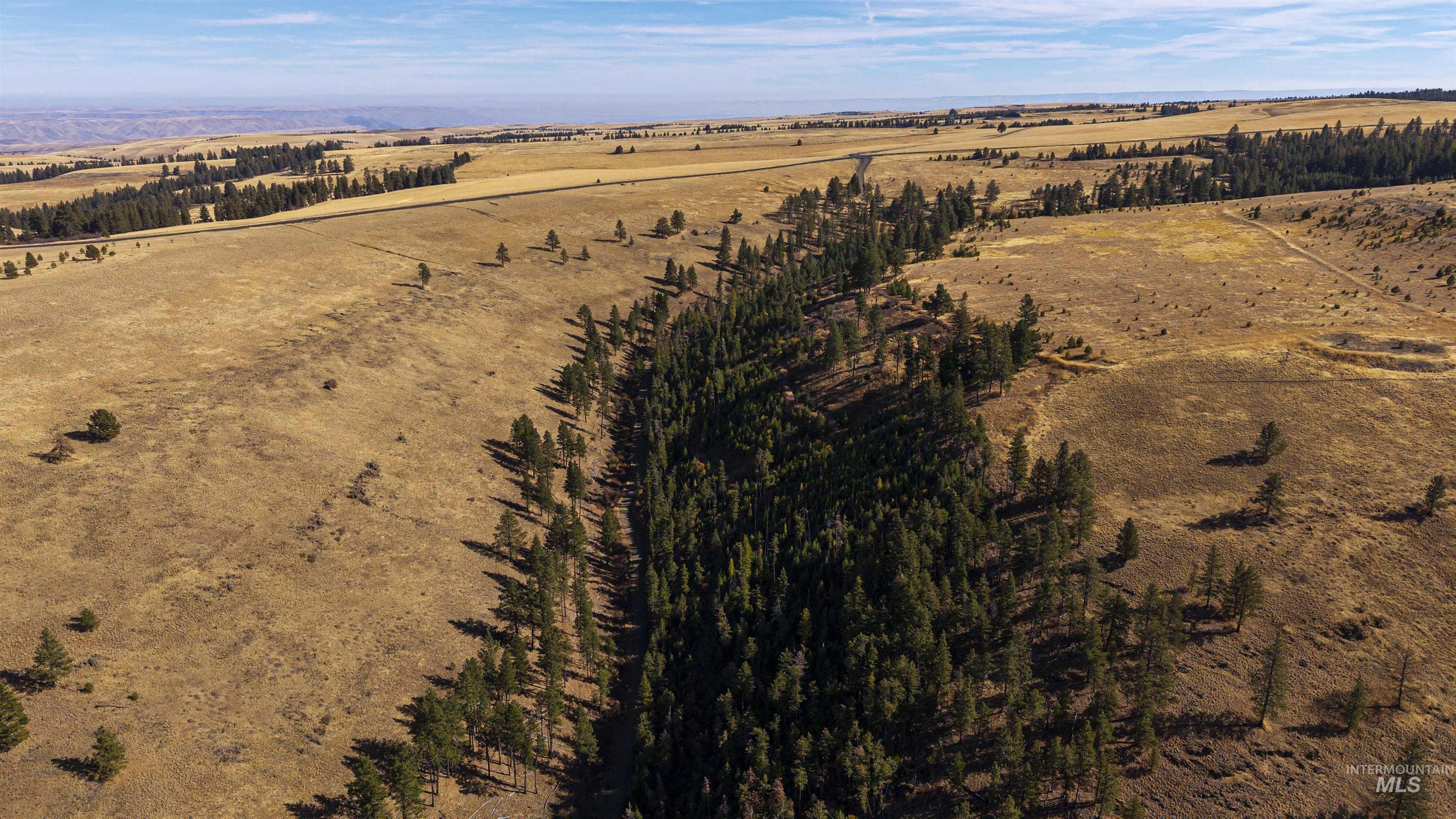 NKA Peola Road, Pomeroy, Washington 99347, Land For Sale, Price $475,000, 99004443