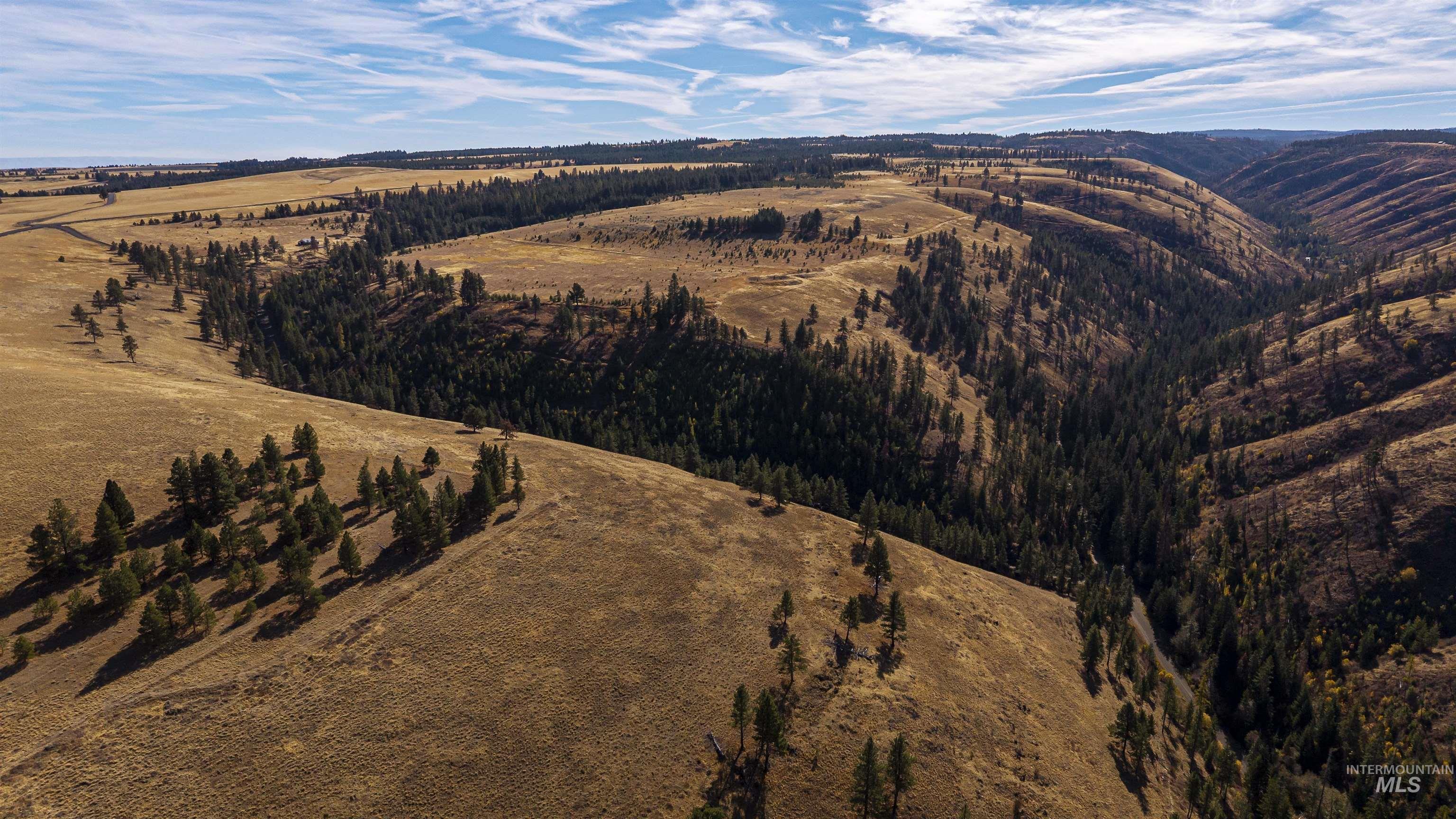 NKA Peola Road, Pomeroy, Washington 99347, Land For Sale, Price $475,000, 99004443