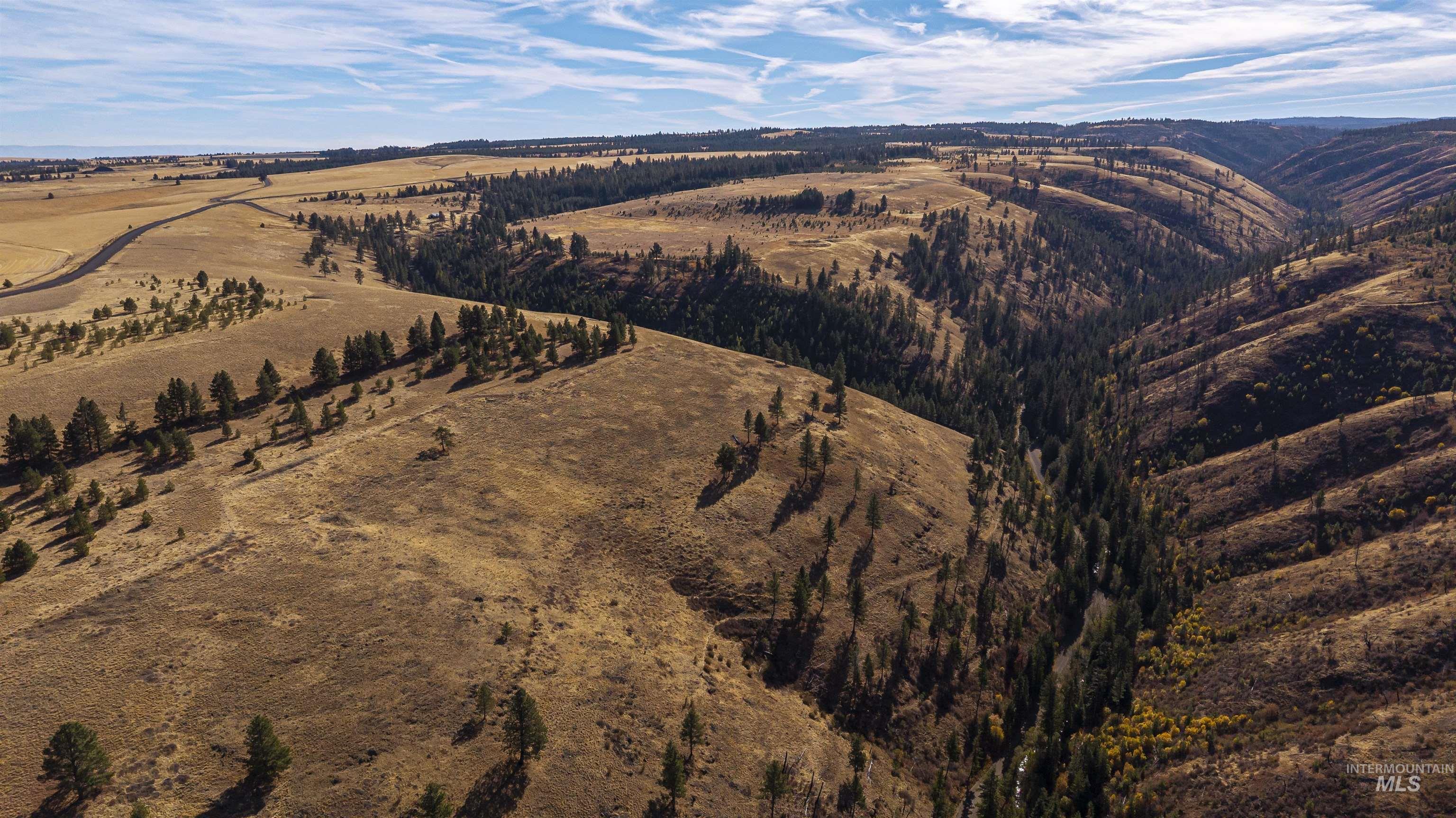 NKA Peola Road, Pomeroy, Washington 99347, Land For Sale, Price $475,000, 99004443
