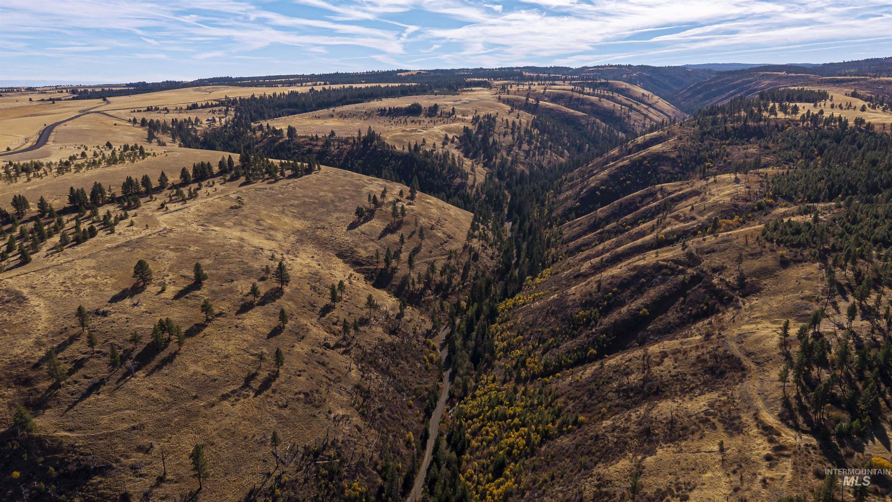 NKA Peola Road, Pomeroy, Washington 99347, Land For Sale, Price $475,000, 99004443