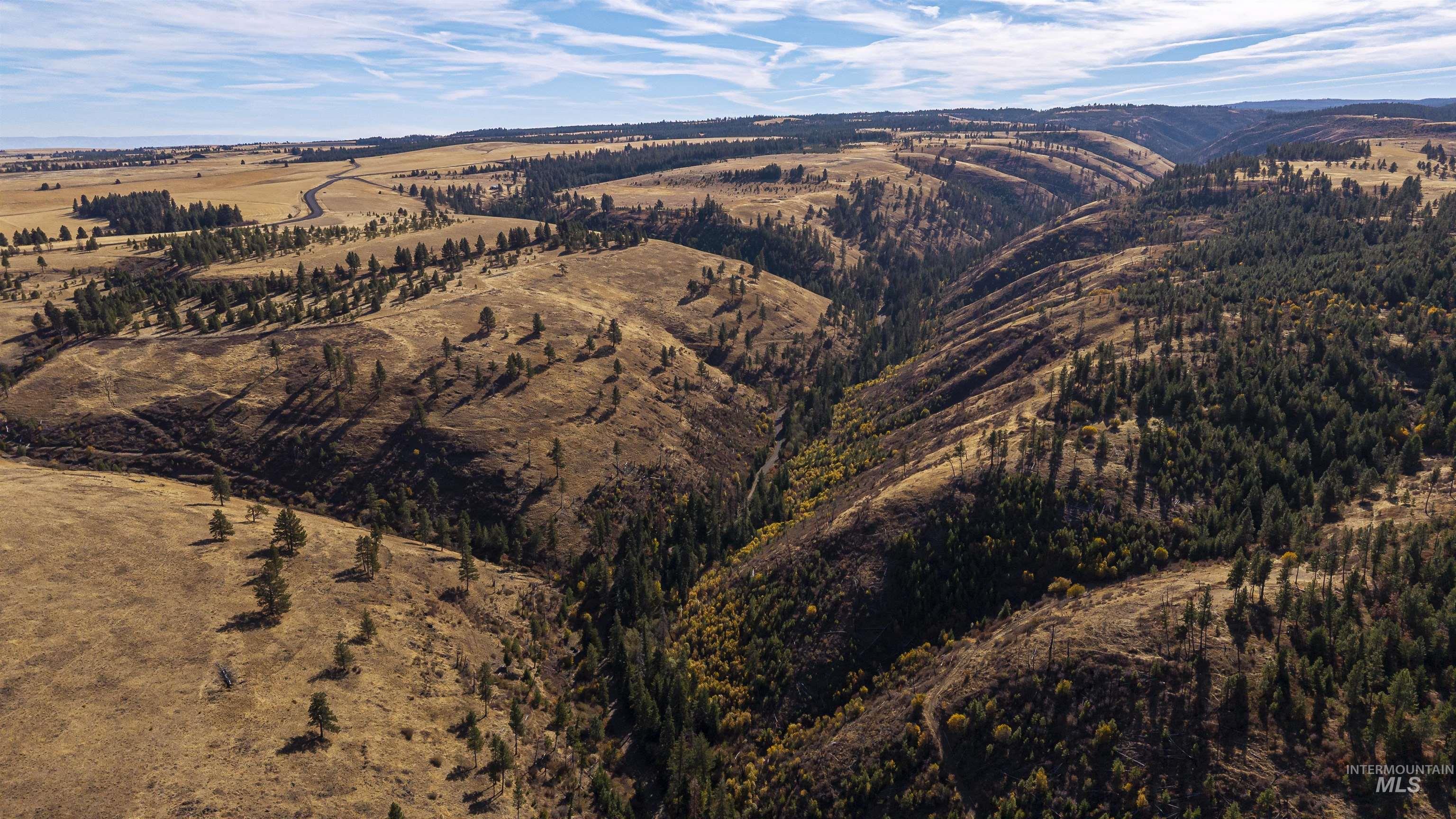 NKA Peola Road, Pomeroy, Washington 99347, Land For Sale, Price $475,000, 99004443