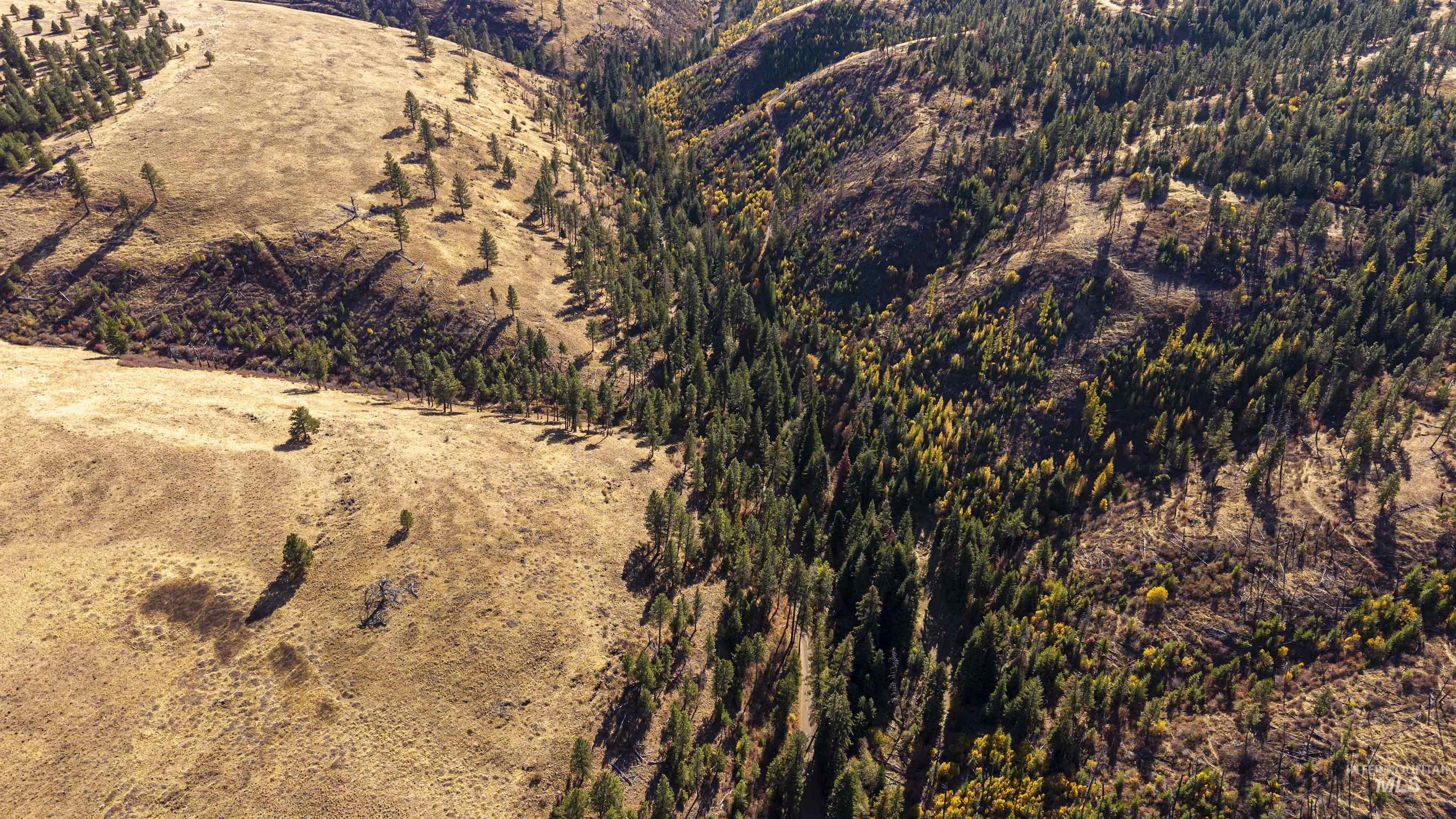 NKA Peola Road, Pomeroy, Washington 99347, Land For Sale, Price $475,000, 99004443