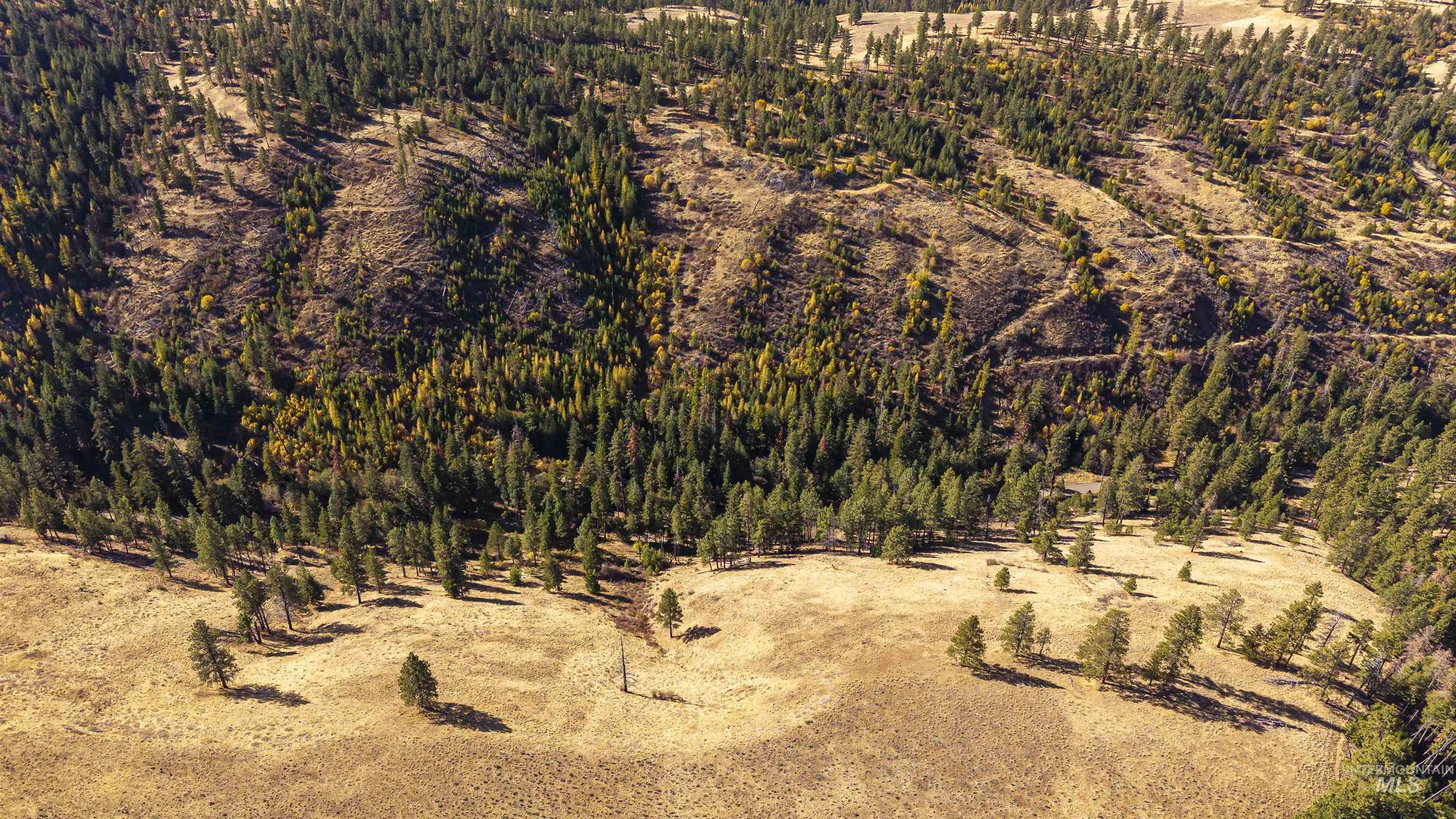 NKA Peola Road, Pomeroy, Washington 99347, Land For Sale, Price $475,000, 99004443