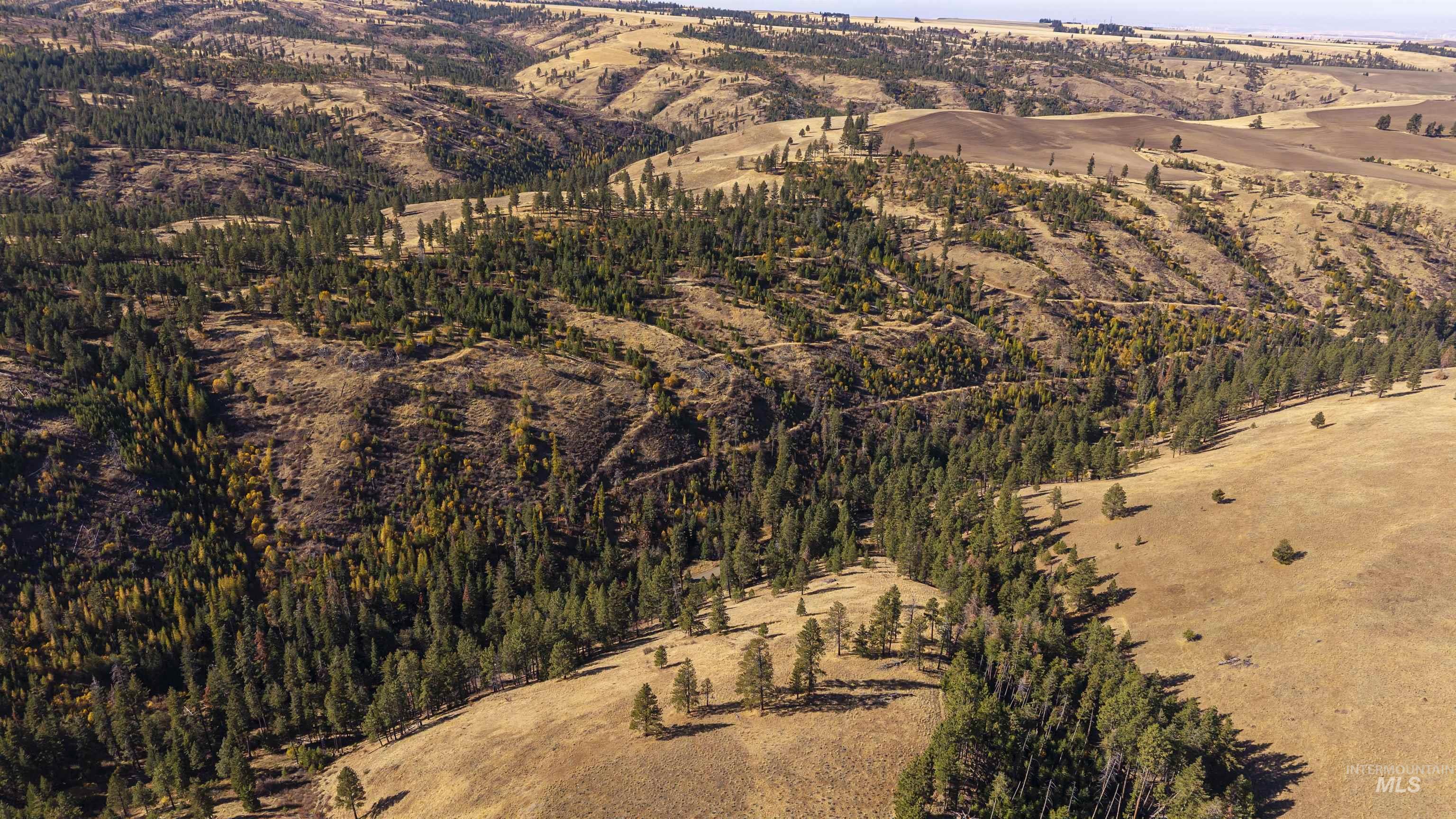 NKA Peola Road, Pomeroy, Washington 99347, Land For Sale, Price $475,000, 99004443