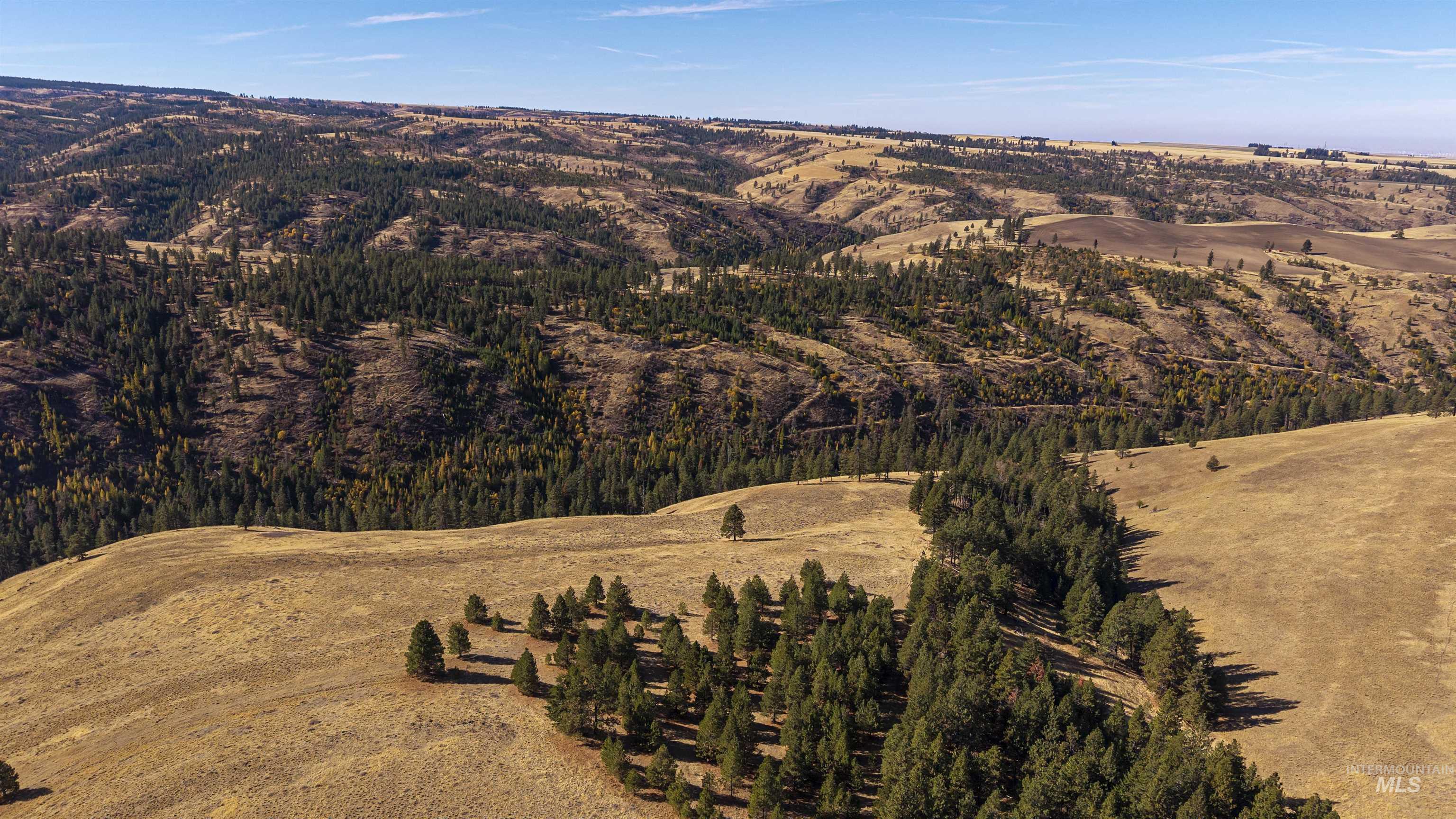 NKA Peola Road, Pomeroy, Washington 99347, Land For Sale, Price $475,000, 99004443