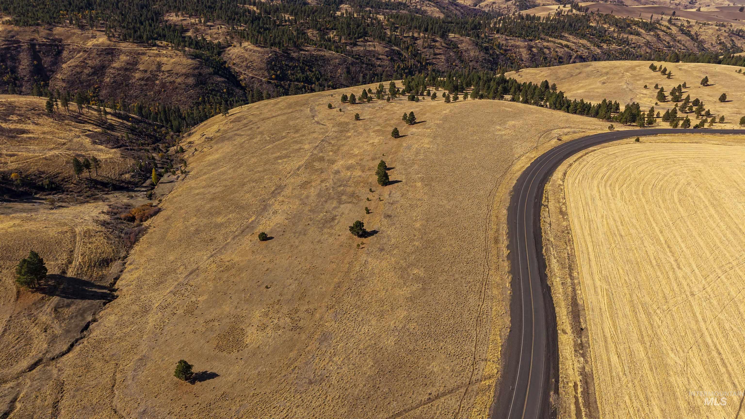 NKA Peola Road, Pomeroy, Washington 99347, Land For Sale, Price $475,000, 99004443