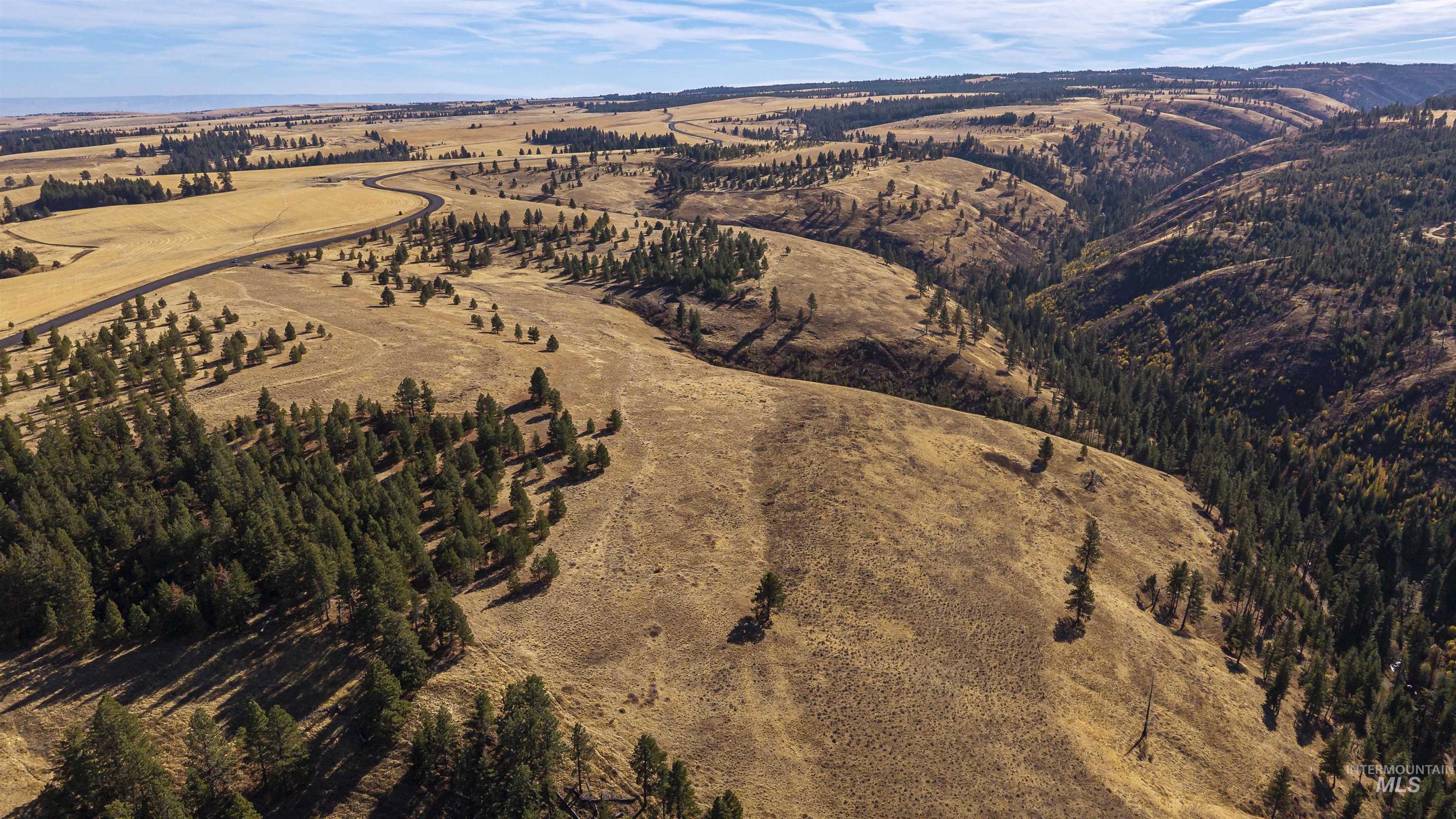 NKA Peola Road, Pomeroy, Washington 99347, Land For Sale, Price $475,000, 99004443