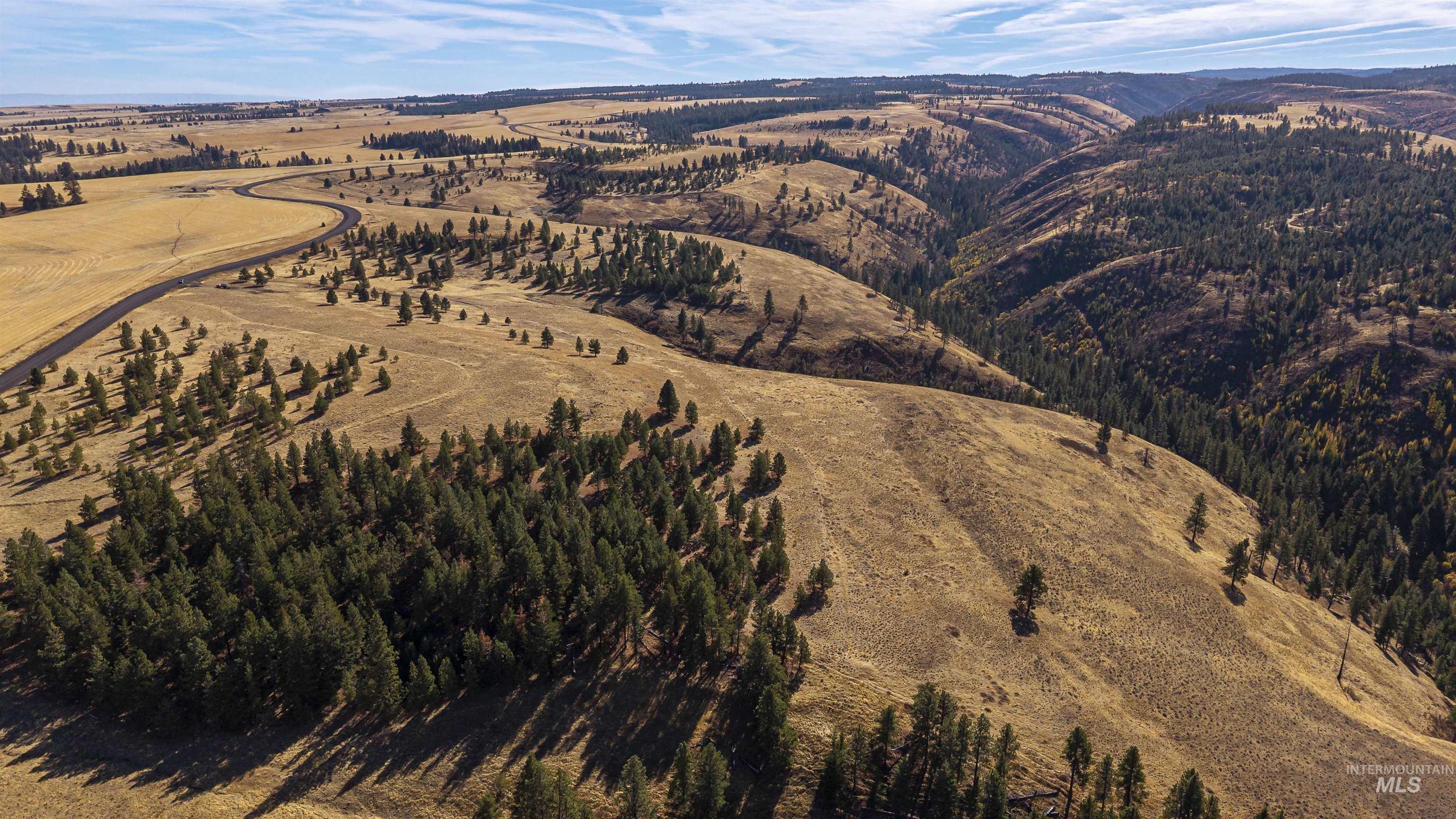 NKA Peola Road, Pomeroy, Washington 99347, Land For Sale, Price $475,000, 99004443