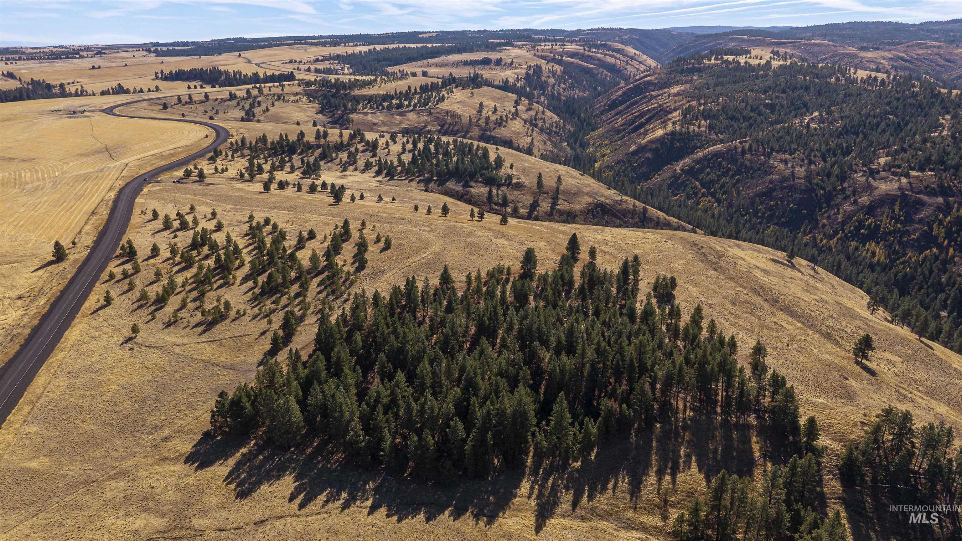 NKA Peola Road, Pomeroy, Washington 99347, Land For Sale, Price $475,000, 99004443
