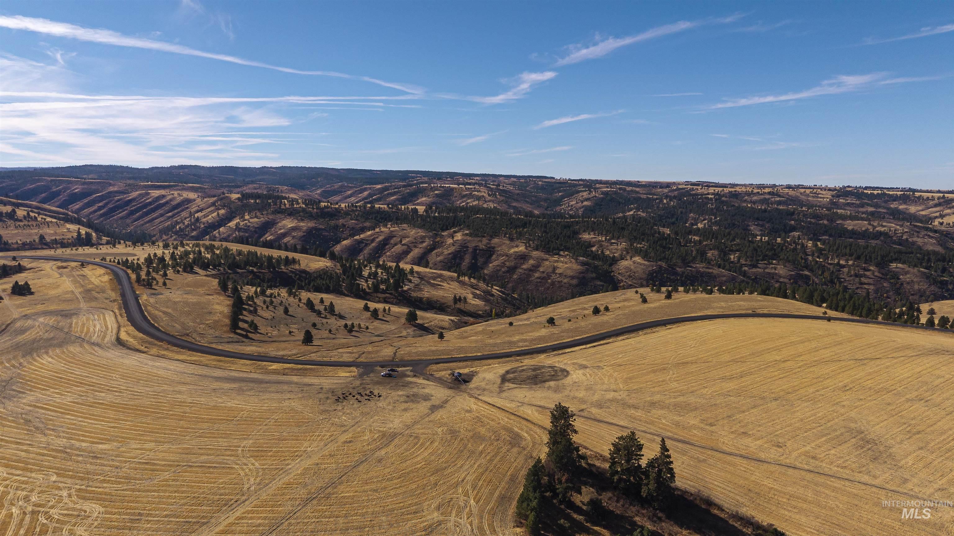 NKA Peola Road, Pomeroy, Washington 99347, Land For Sale, Price $475,000, 99004443