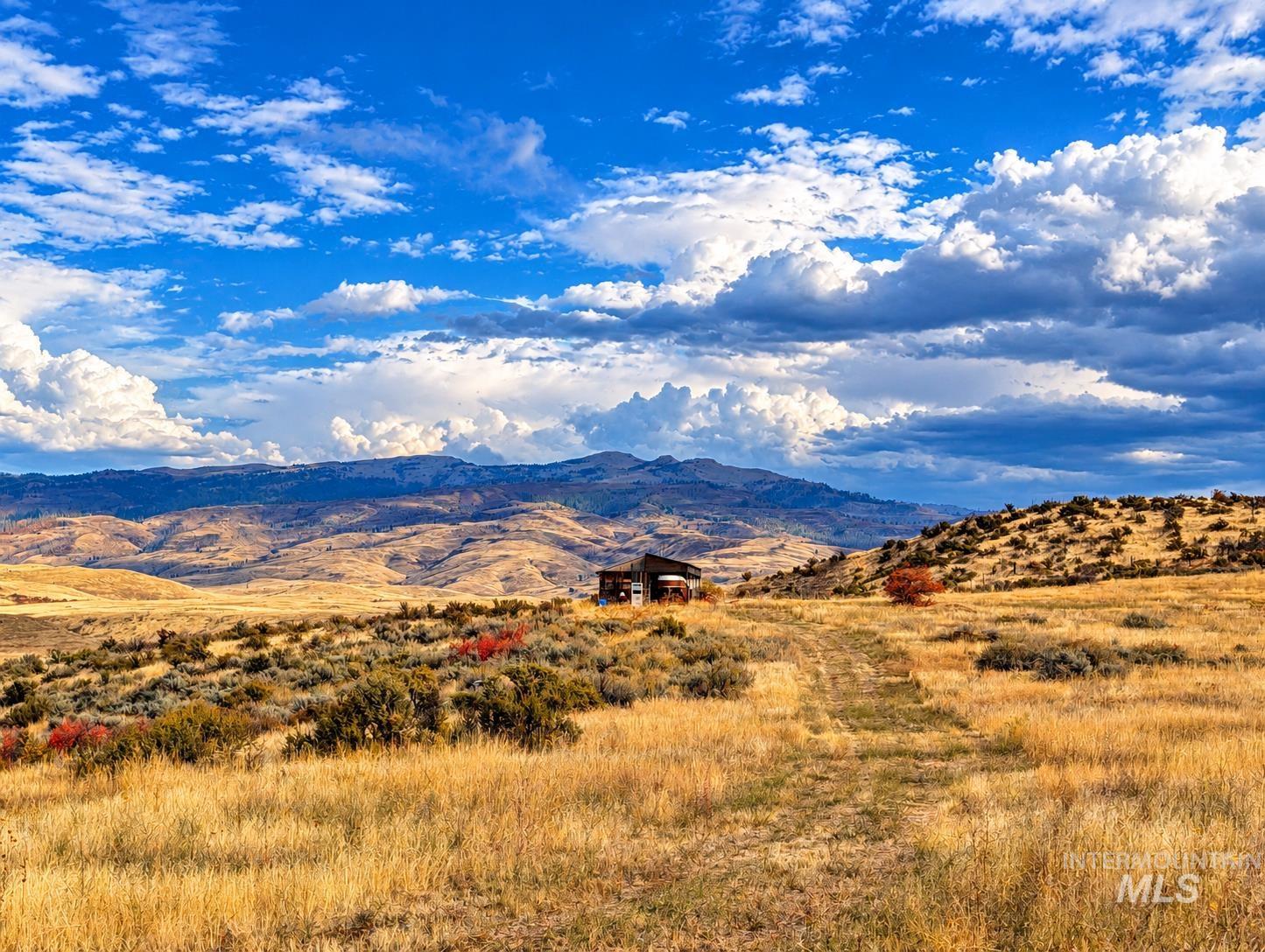 1318 Hwy 95, Mesa, Idaho 83643, Land For Sale, Price $250,000,MLS 99004467