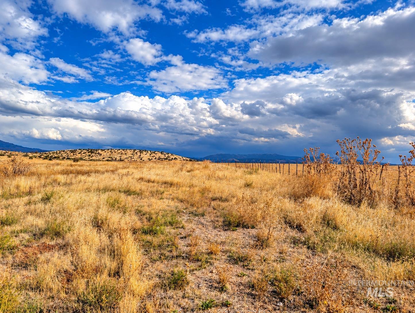 1318 Hwy 95, Mesa, Idaho 83643, Land For Sale, Price $250,000,MLS 99004467