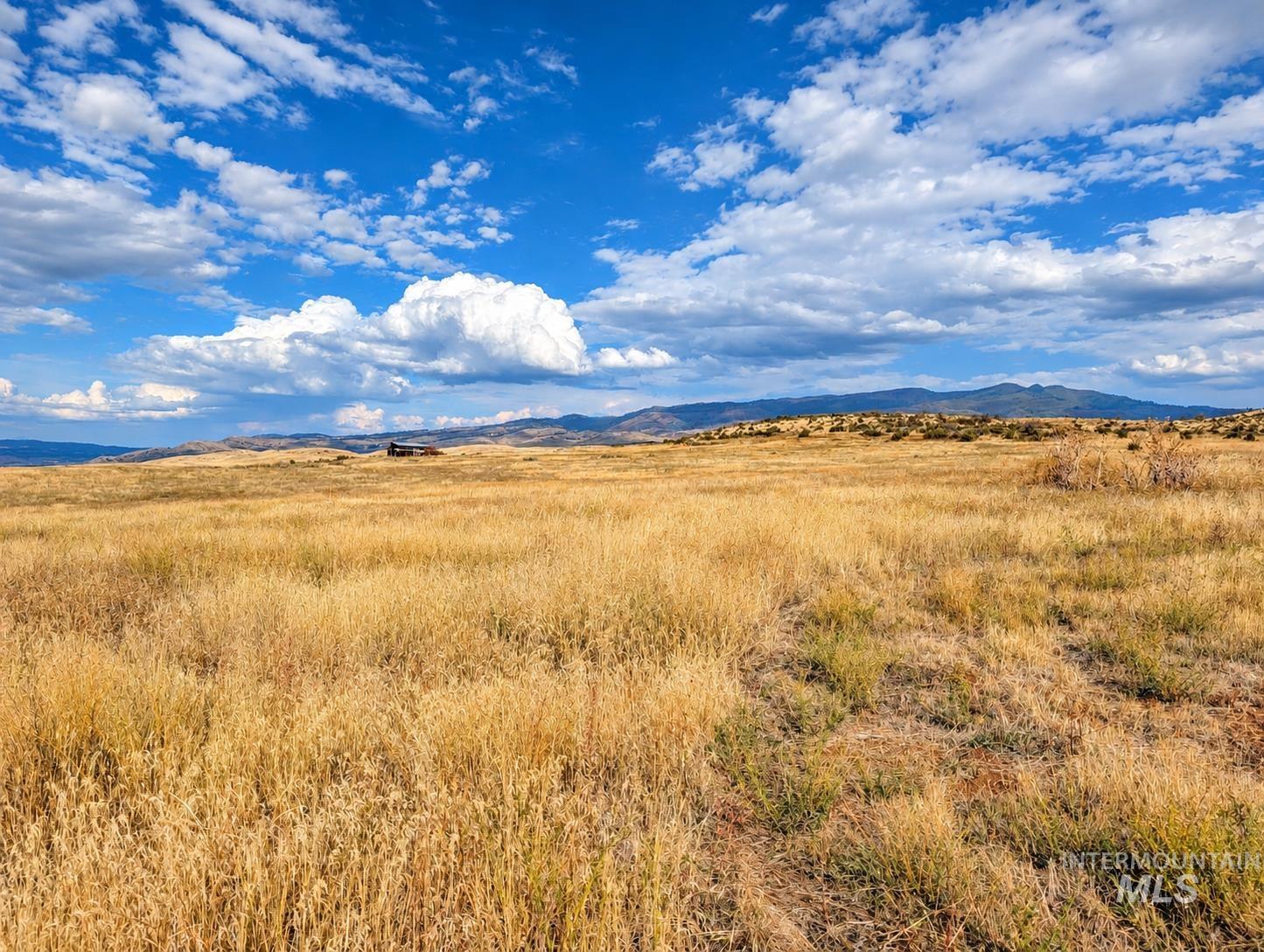 1318 Hwy 95, Mesa, Idaho 83643, Land For Sale, Price $250,000,MLS 99004467