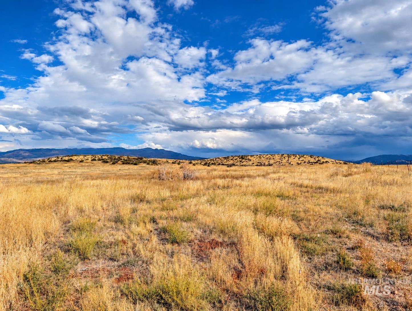 1318 Hwy 95, Mesa, Idaho 83643, Land For Sale, Price $250,000,MLS 99004467
