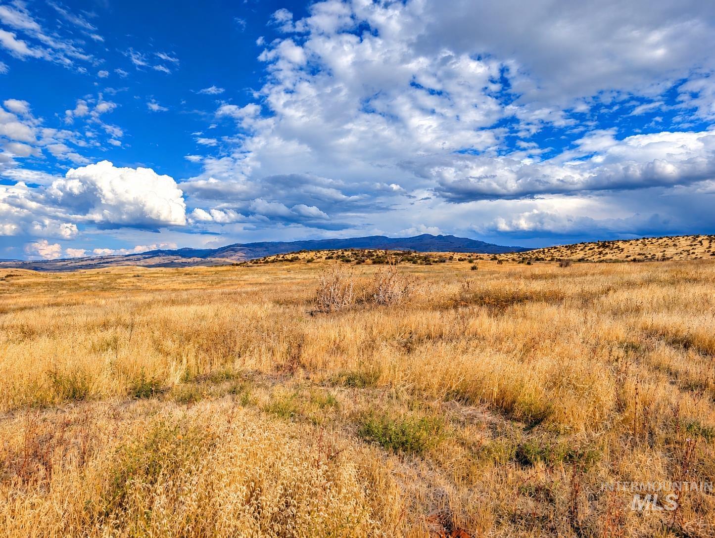 1318 Hwy 95, Mesa, Idaho 83643, Land For Sale, Price $250,000,MLS 99004467