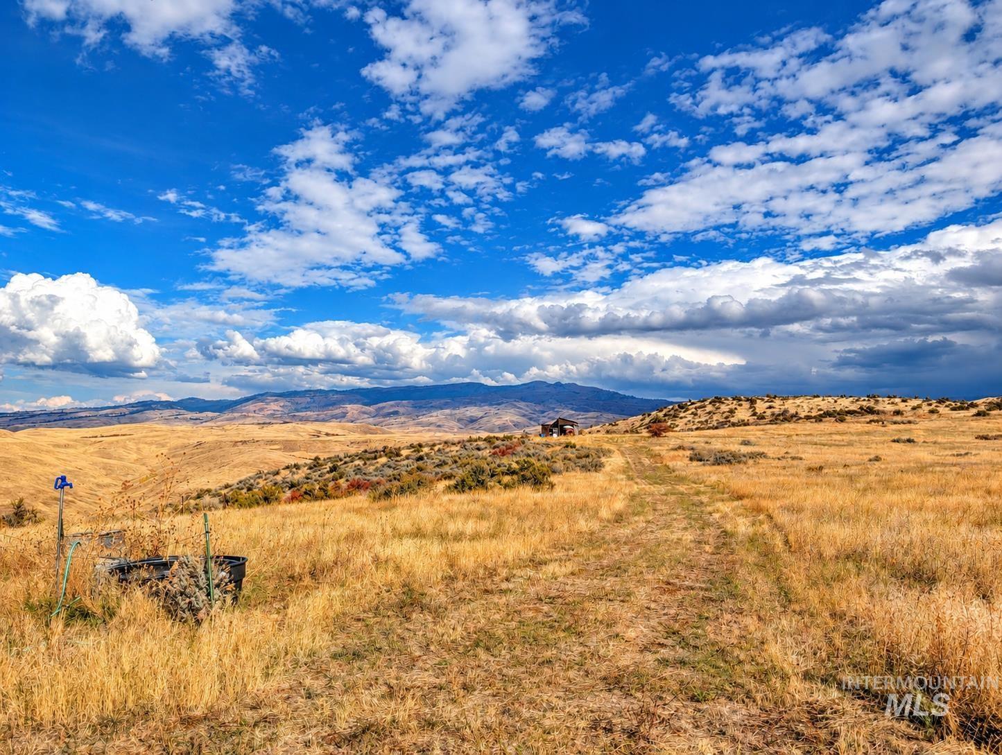 1318 Hwy 95, Mesa, Idaho 83643, Land For Sale, Price $250,000,MLS 99004467