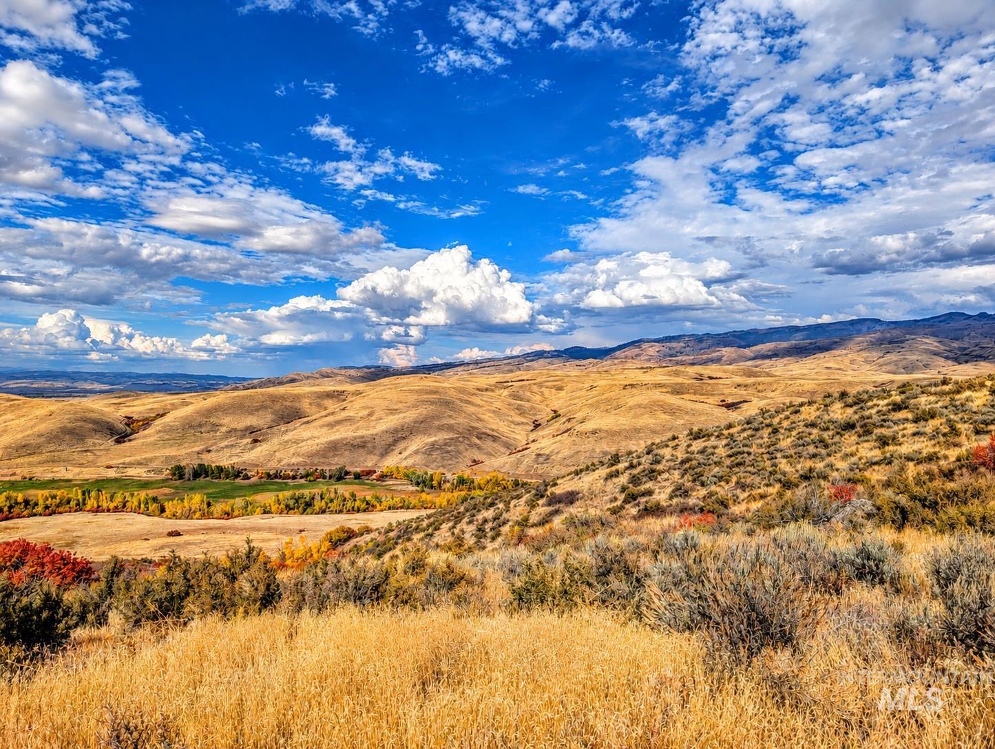 1318 Hwy 95, Mesa, Idaho 83643, Land For Sale, Price $250,000,MLS 99004467