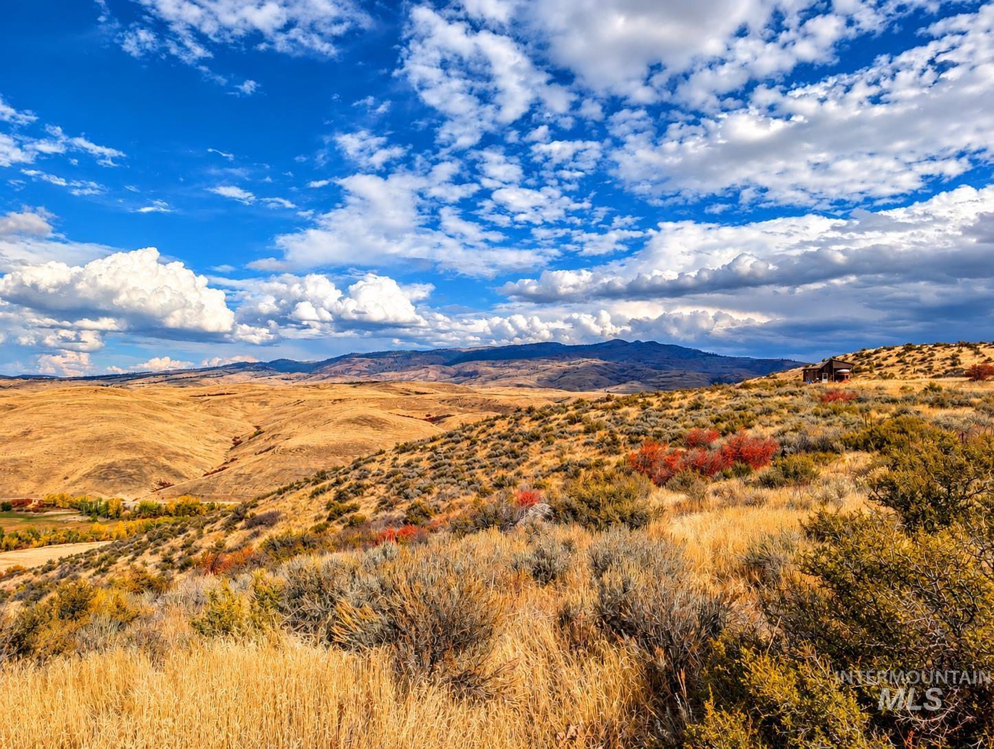 1318 Hwy 95, Mesa, Idaho 83643, Land For Sale, Price $250,000,MLS 99004467