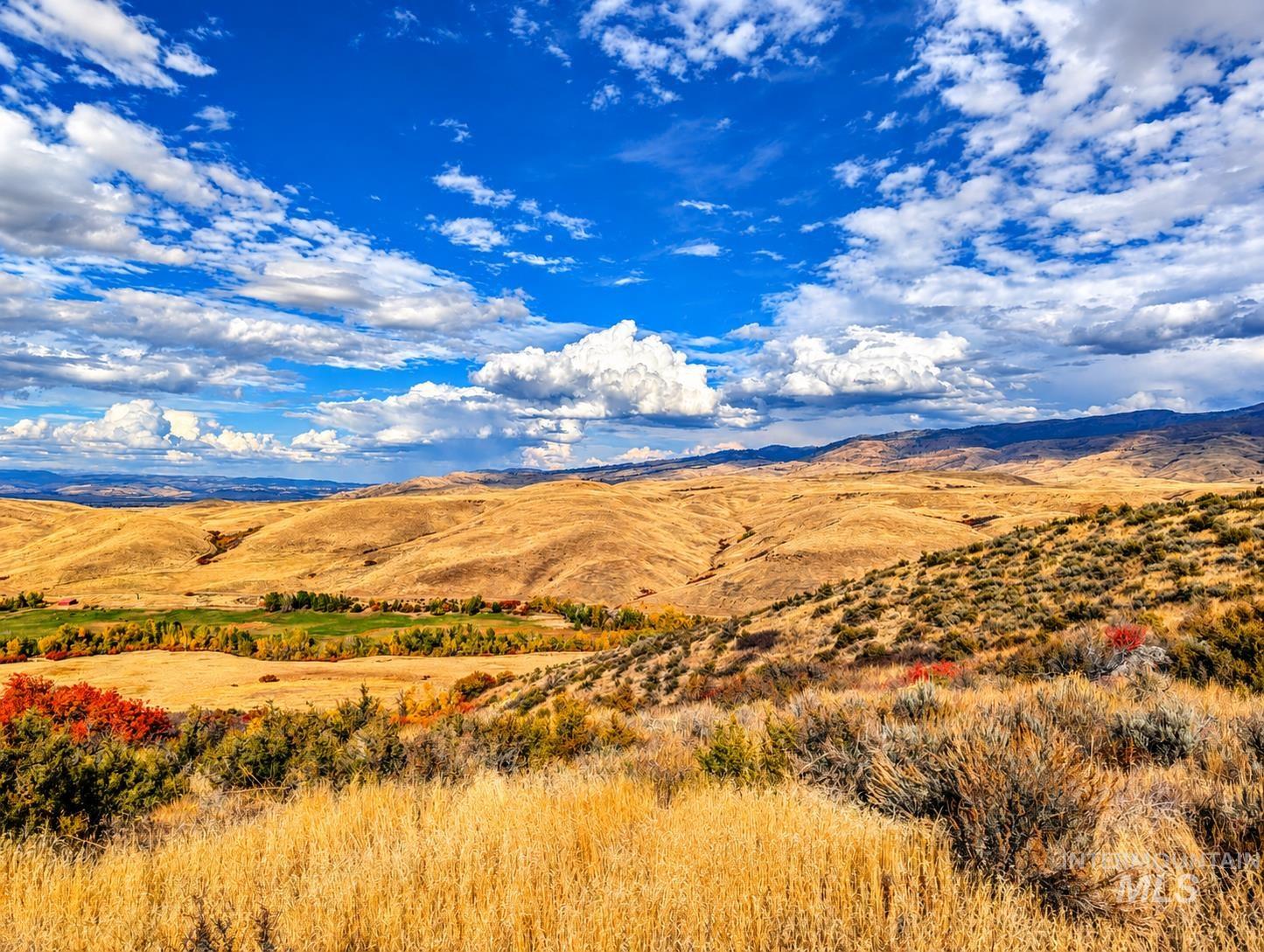 1318 Hwy 95, Mesa, Idaho 83643, Land For Sale, Price $250,000,MLS 99004467