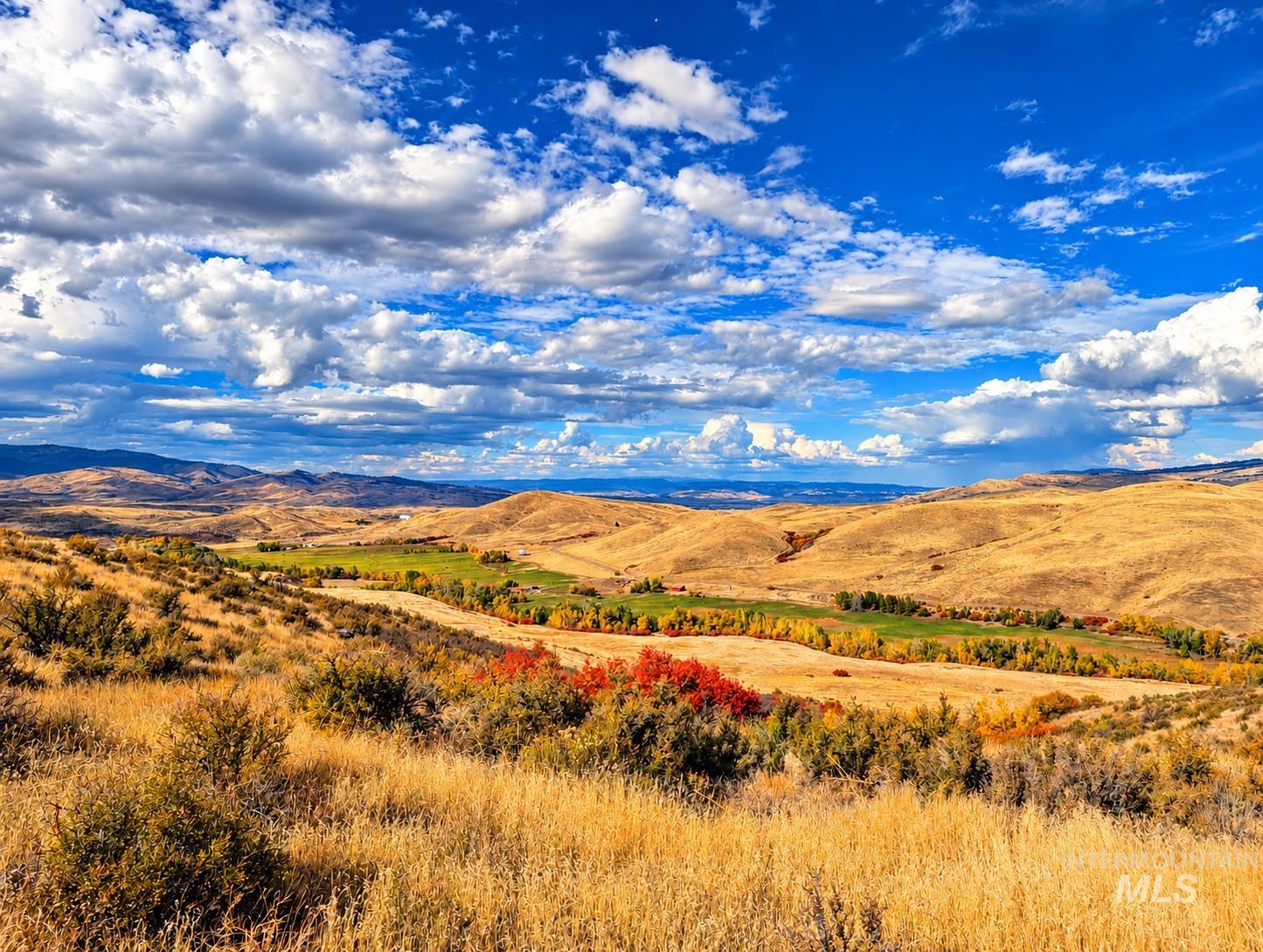 1318 Hwy 95, Mesa, Idaho 83643, Land For Sale, Price $250,000,MLS 99004467