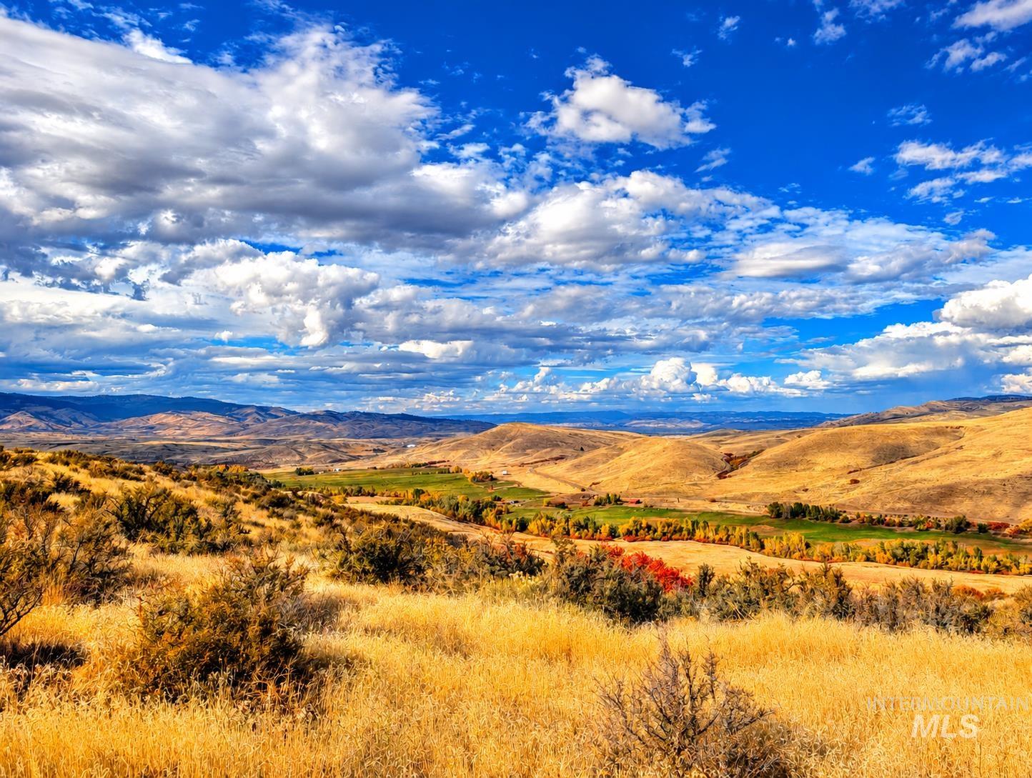 1318 Hwy 95, Mesa, Idaho 83643, Land For Sale, Price $250,000,MLS 99004467